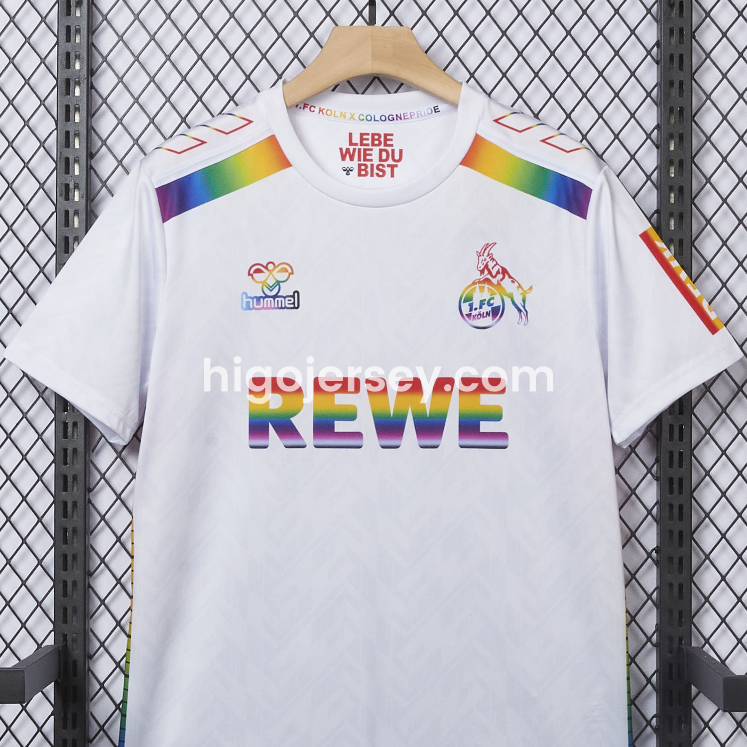 Higojerseys-1. FC Köln 2024-25 Pride Diversity Special Edition Jersey - Fans Version