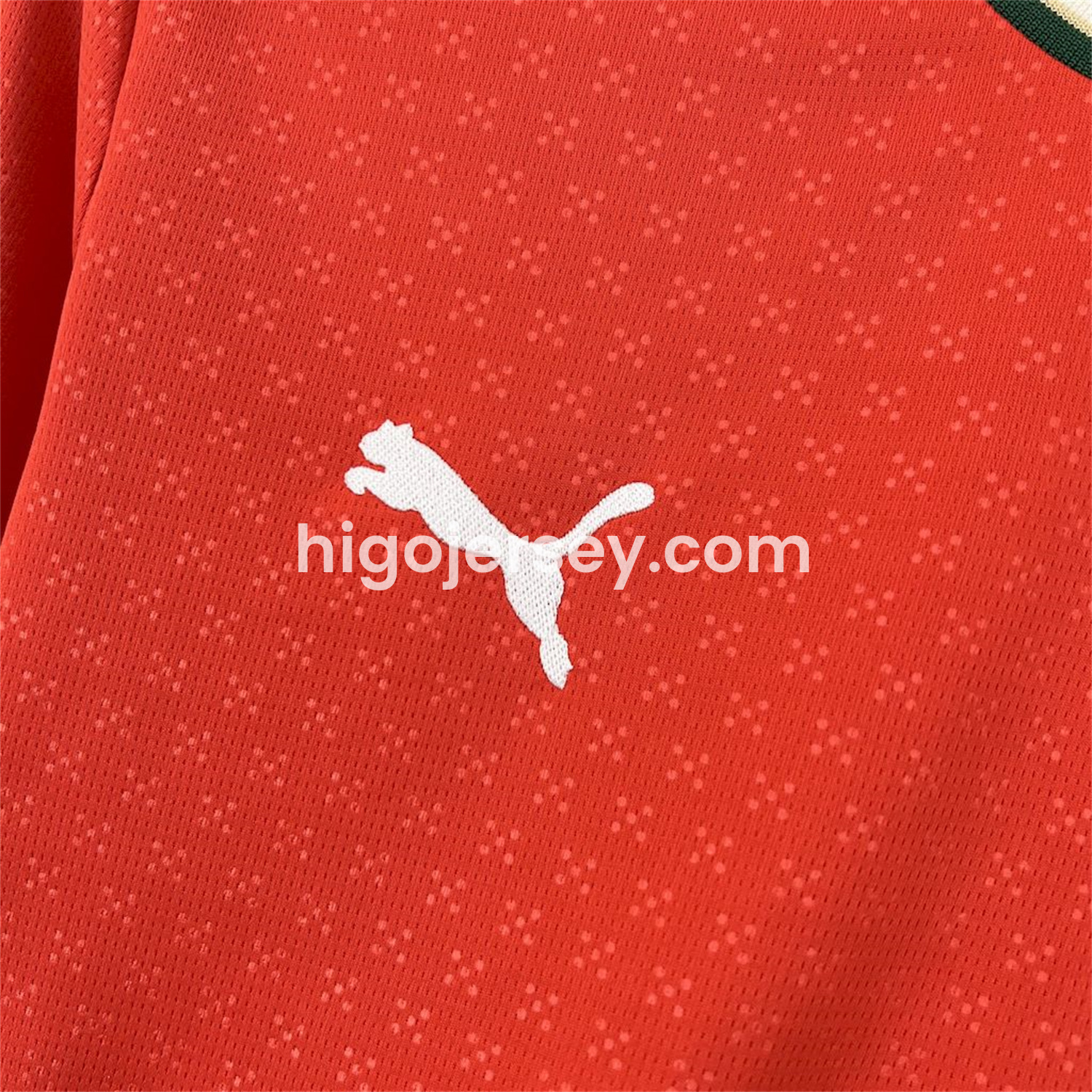 Higojerseys-Portugal 2025-26 Home Long Sleeve Jersey - Fans Version