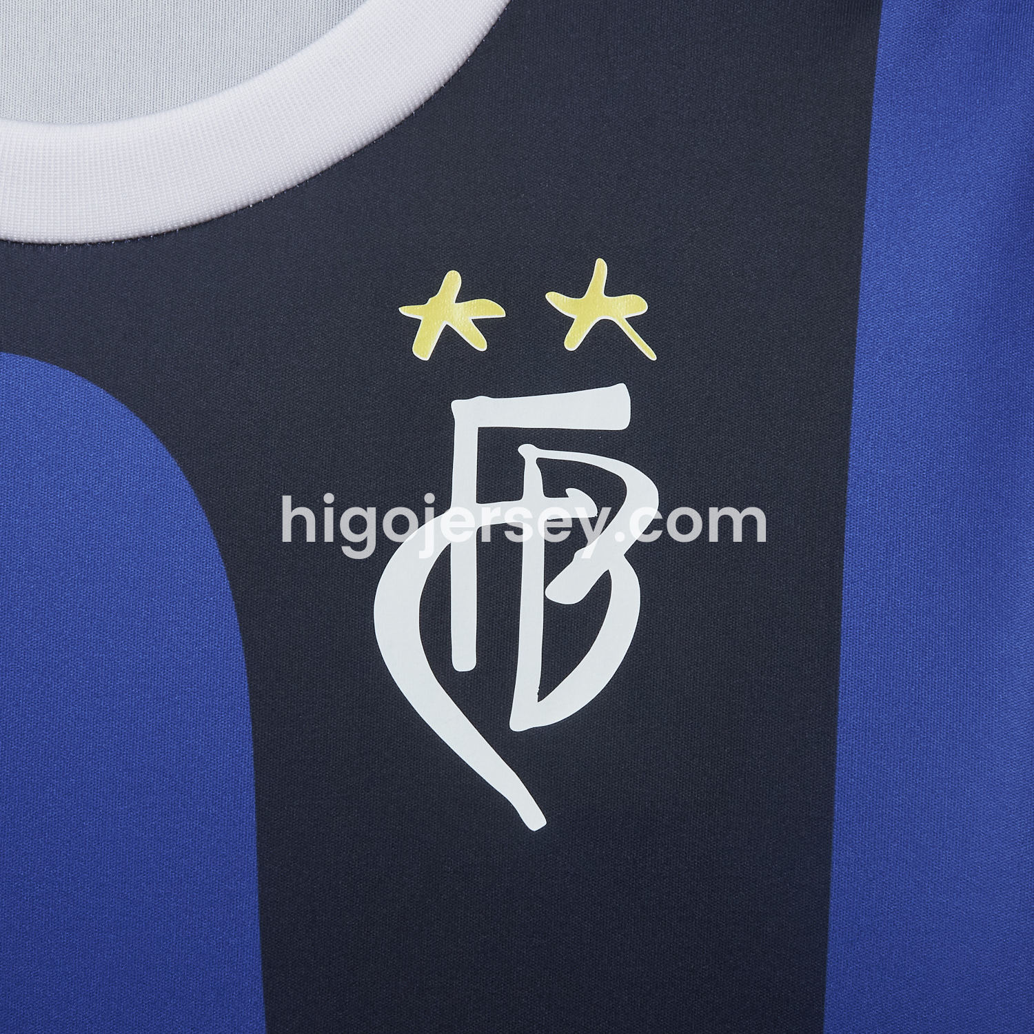 Higojerseys-Basel 24-25 Carnival Special Jersey - Fans Version