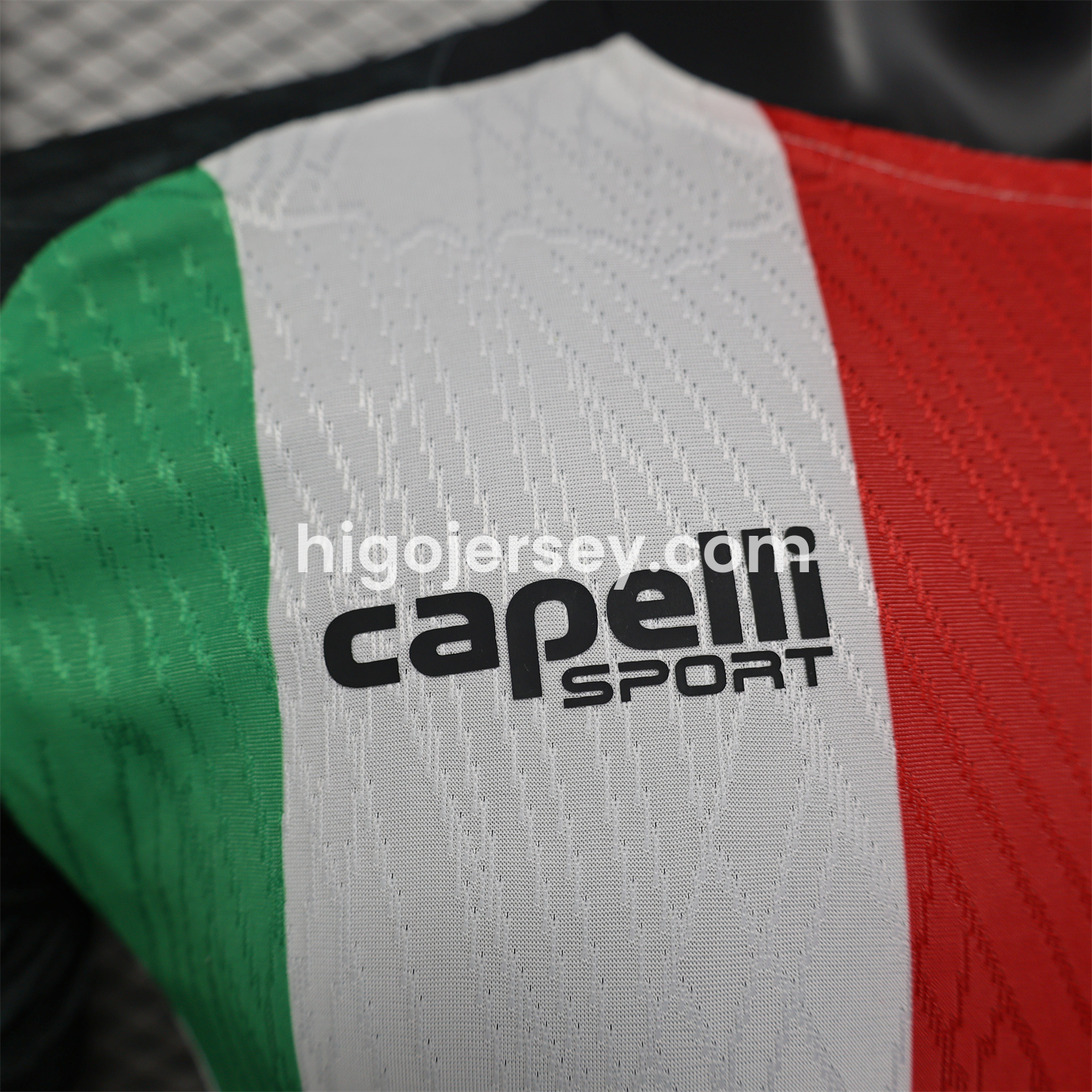 Higojerseys-Club Deportivo Palestino 25-26 Home Jersey - Player Version