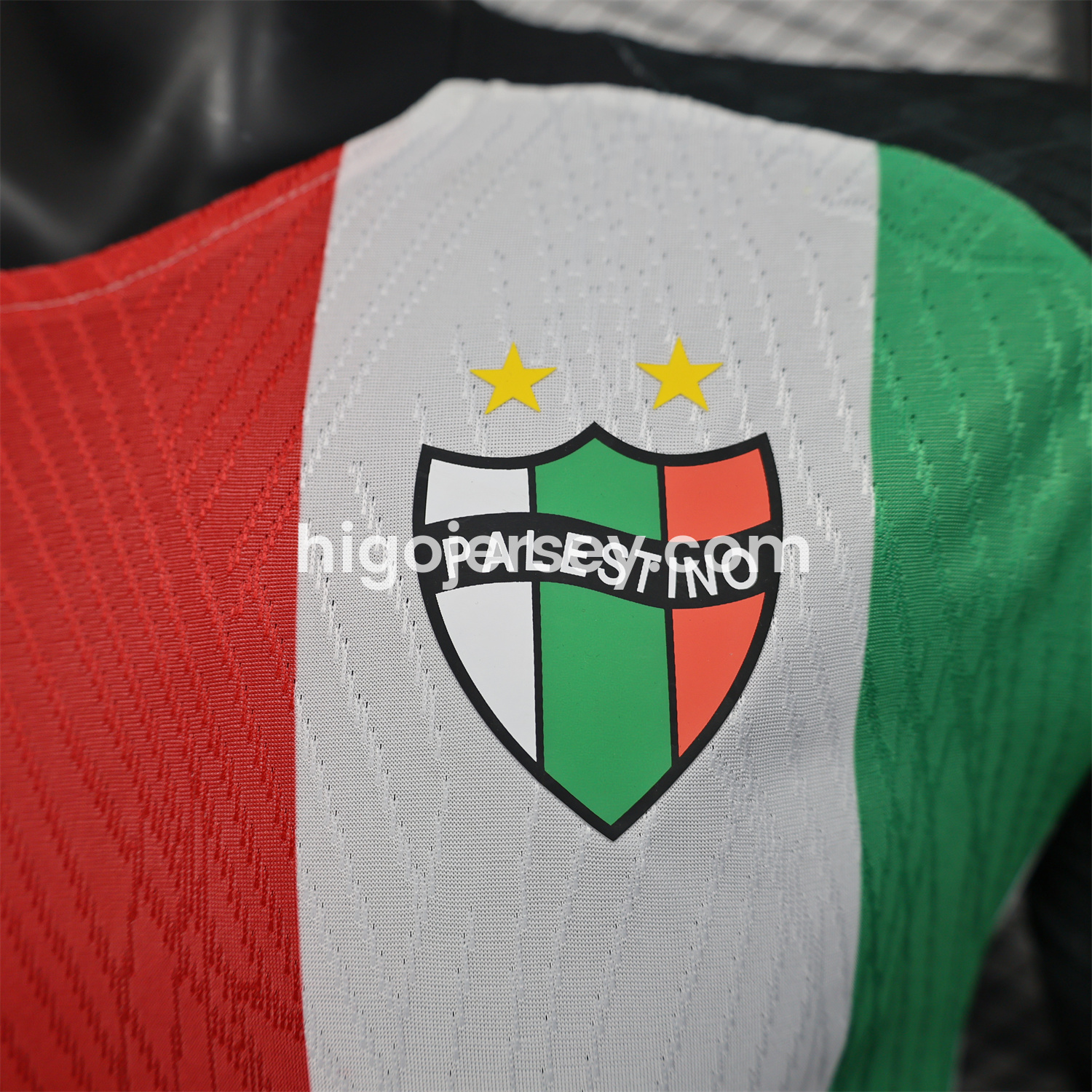 Higojerseys-Club Deportivo Palestino 25-26 Home Jersey - Player Version