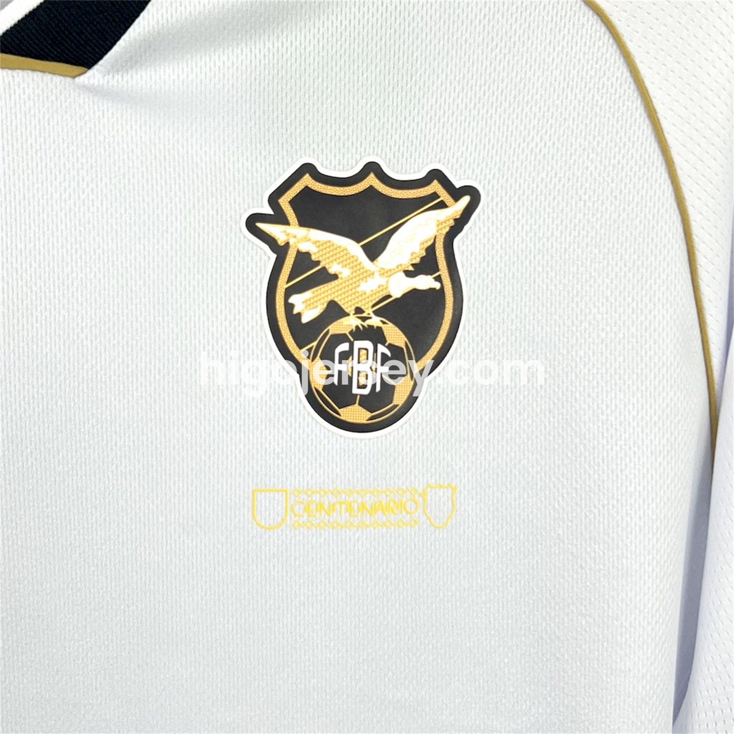 Higojerseys-Bolivia 2025-26 100 Years Centennial Edition Away Jersey - Fans Version
