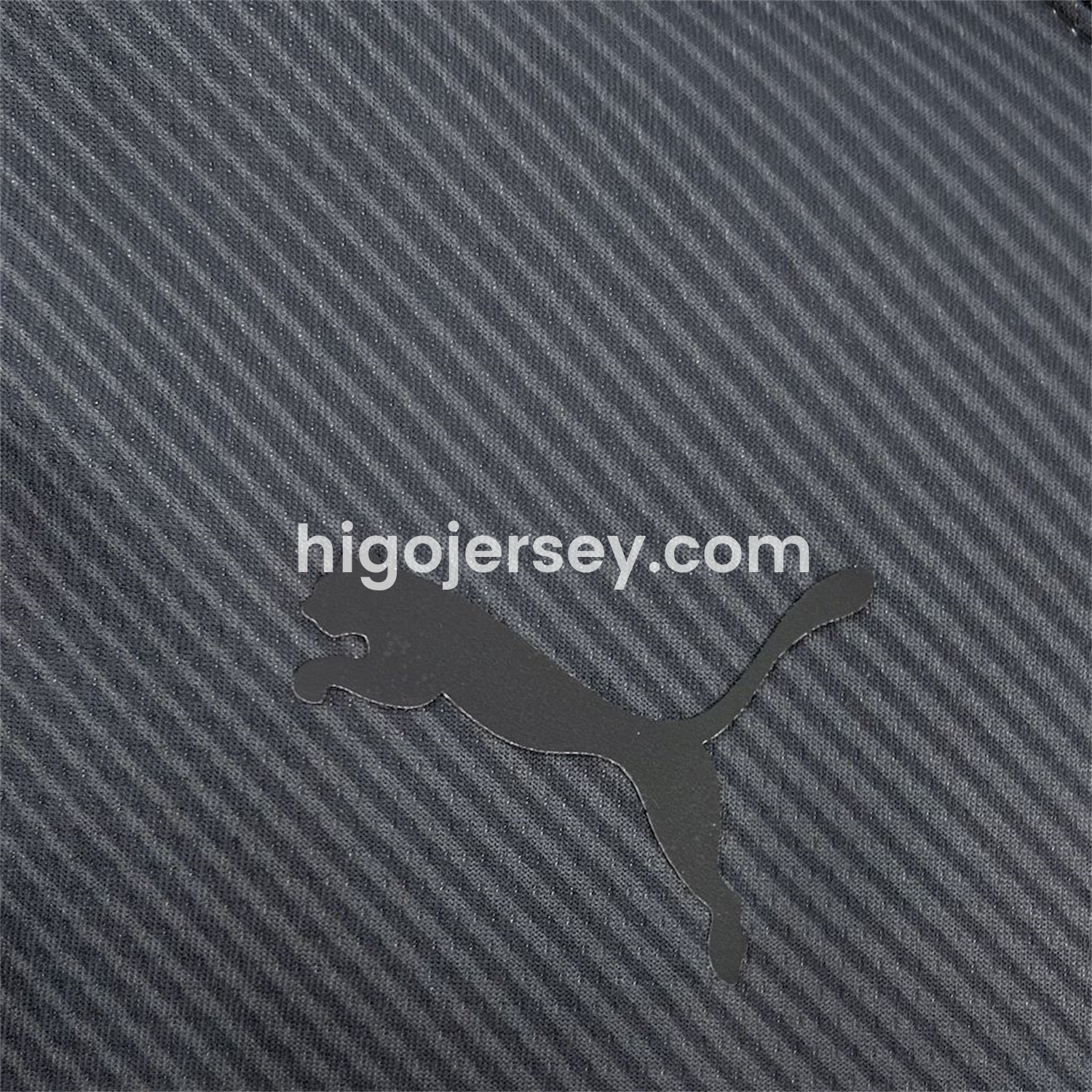 Higojerseys-Galatasaray 24-25 Black Special Edition Jersey - Fans Version