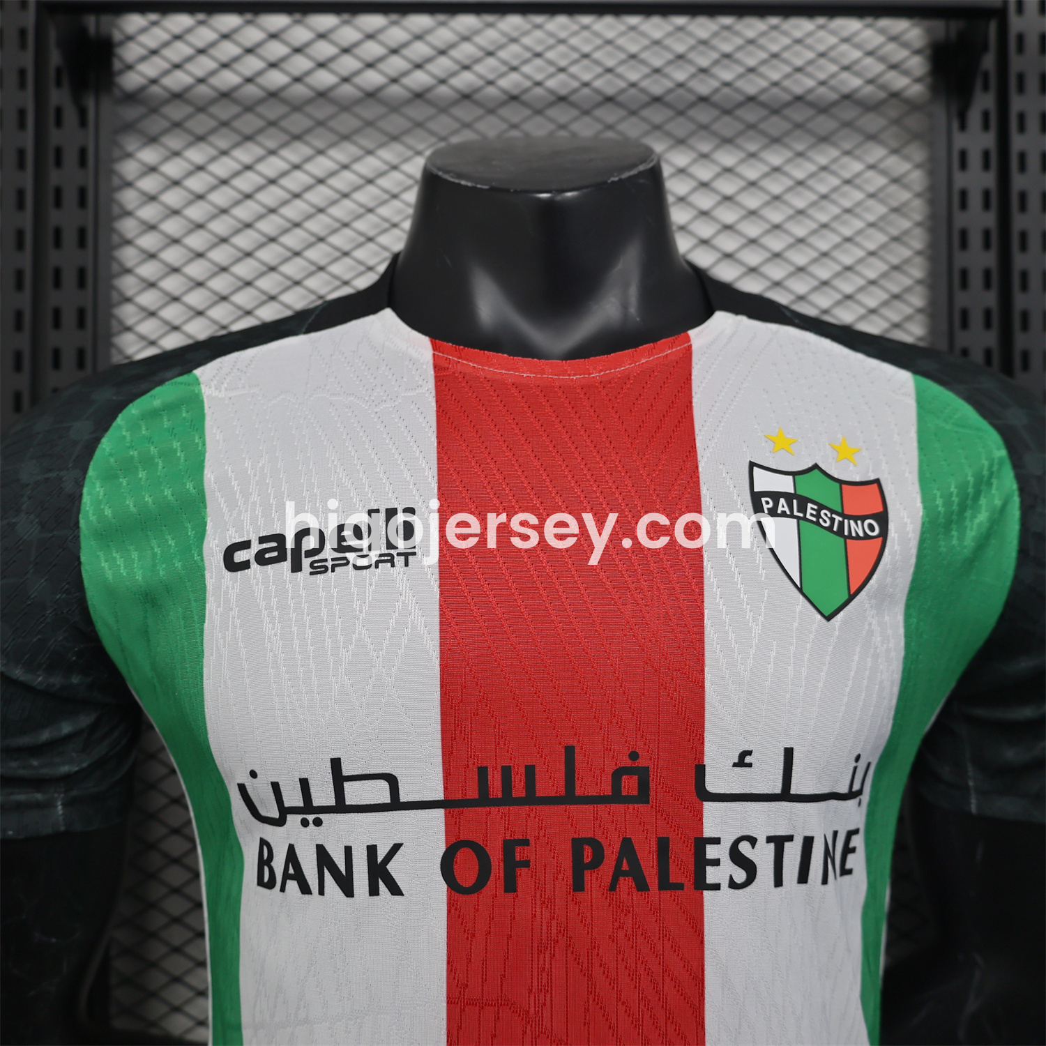 Higojerseys-Club Deportivo Palestino 25-26 Home Jersey - Player Version