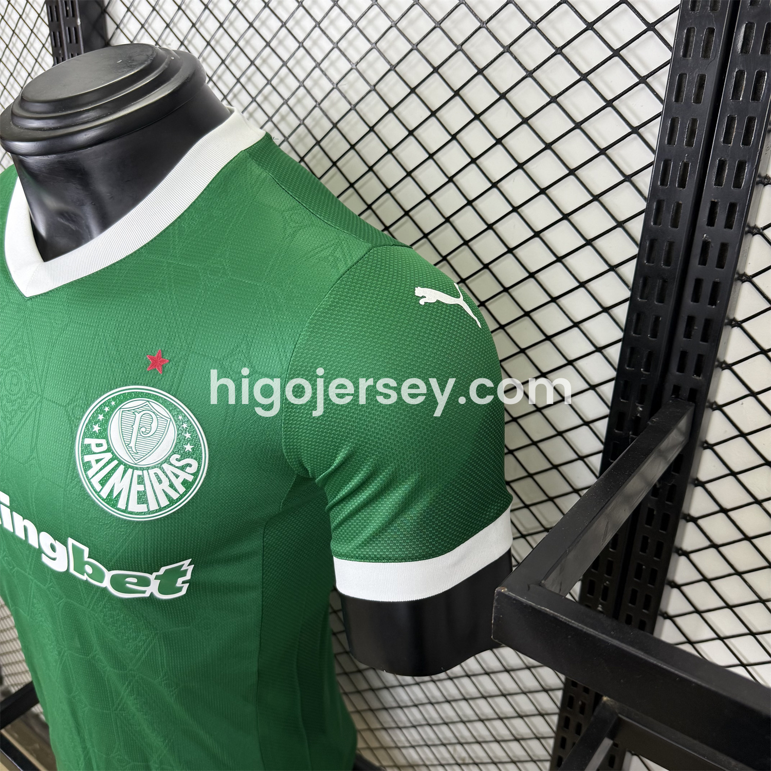 Higojerseys-Palmeiras 2025-26 Home Jersey - Player Version