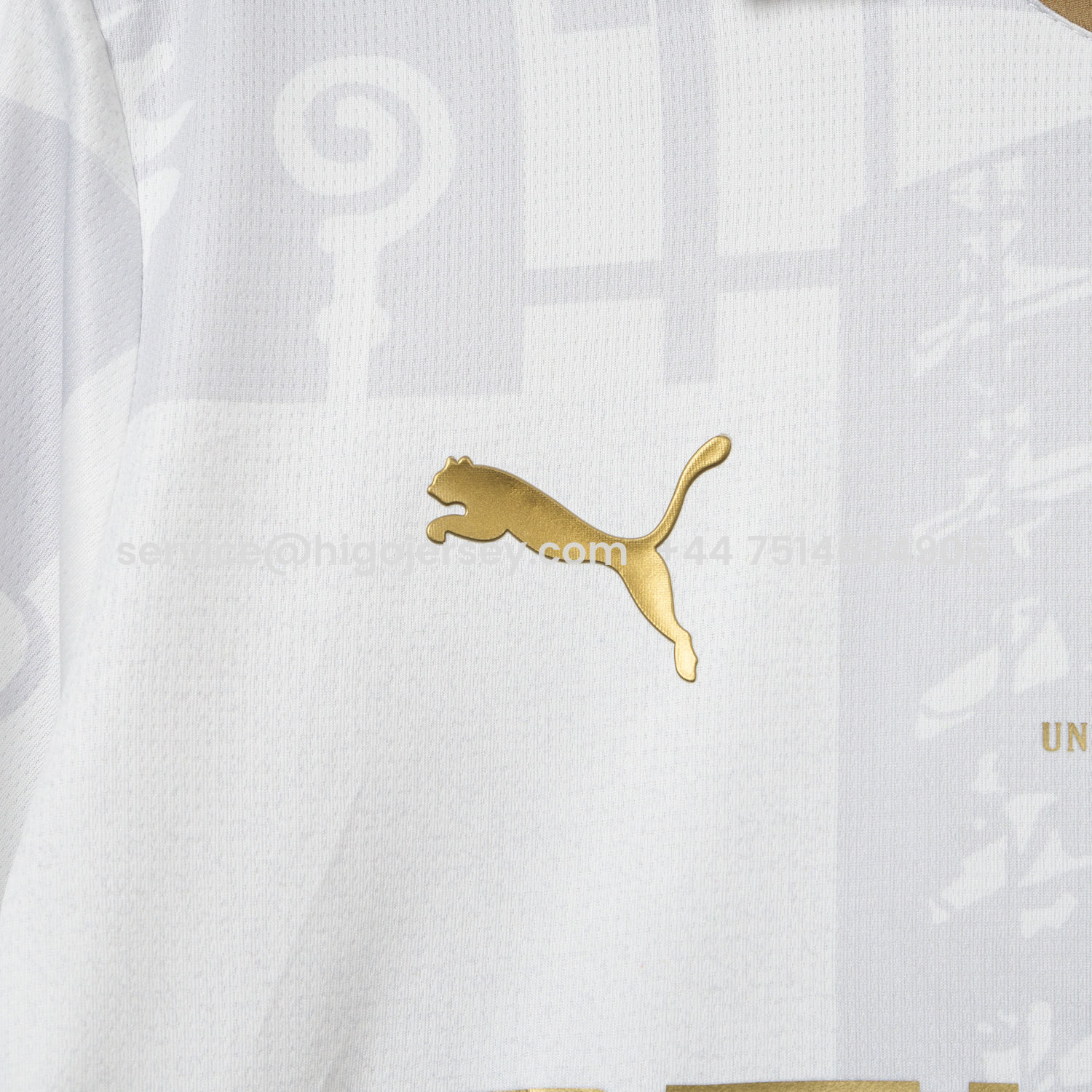 Higojerseys-Borussia Mönchengladbach 25-26 125-Year Anniversary Jersey - Fans Version