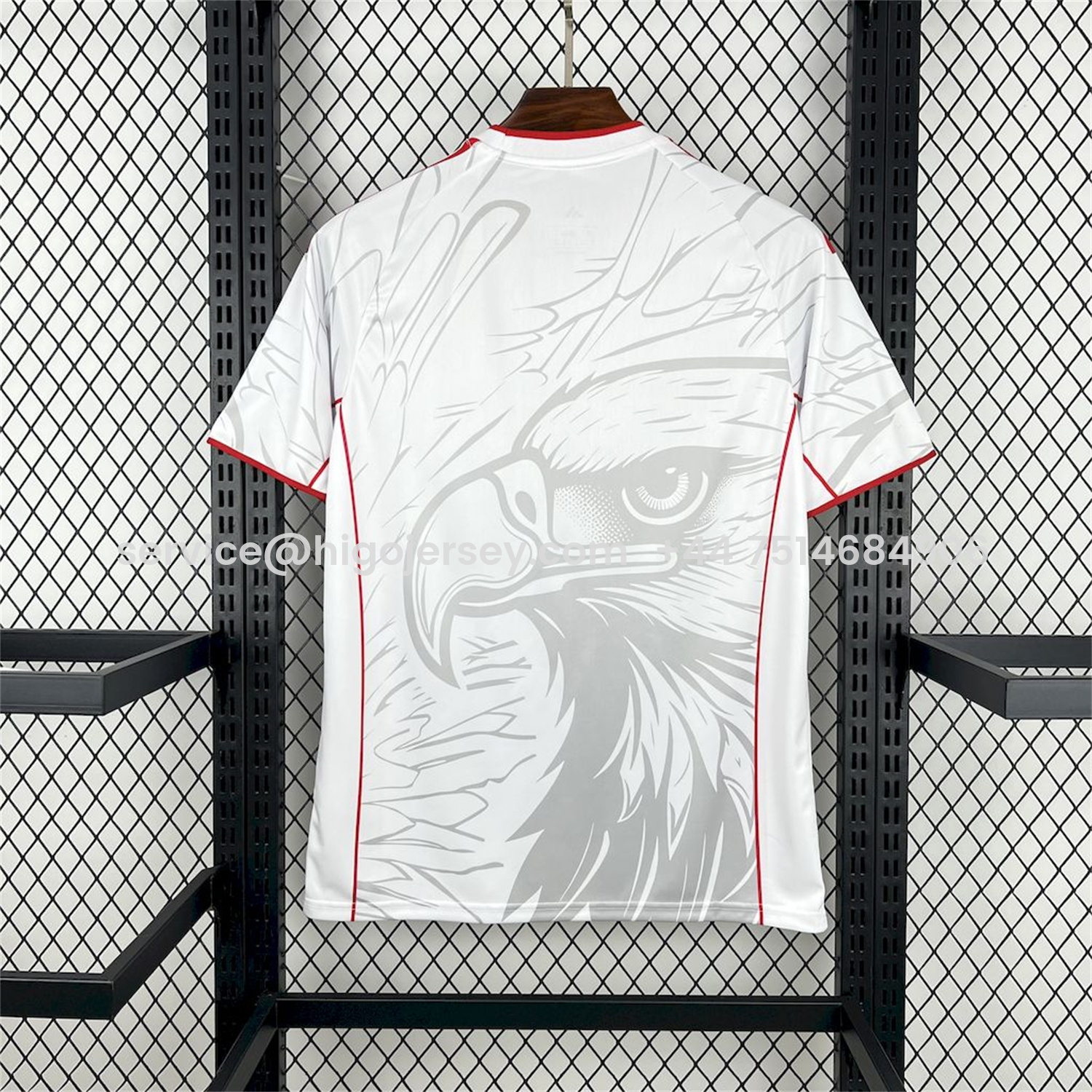Higojerseys-Benfica 24-25 White Red Concept Jersey with Grey Eagle - Fans Version