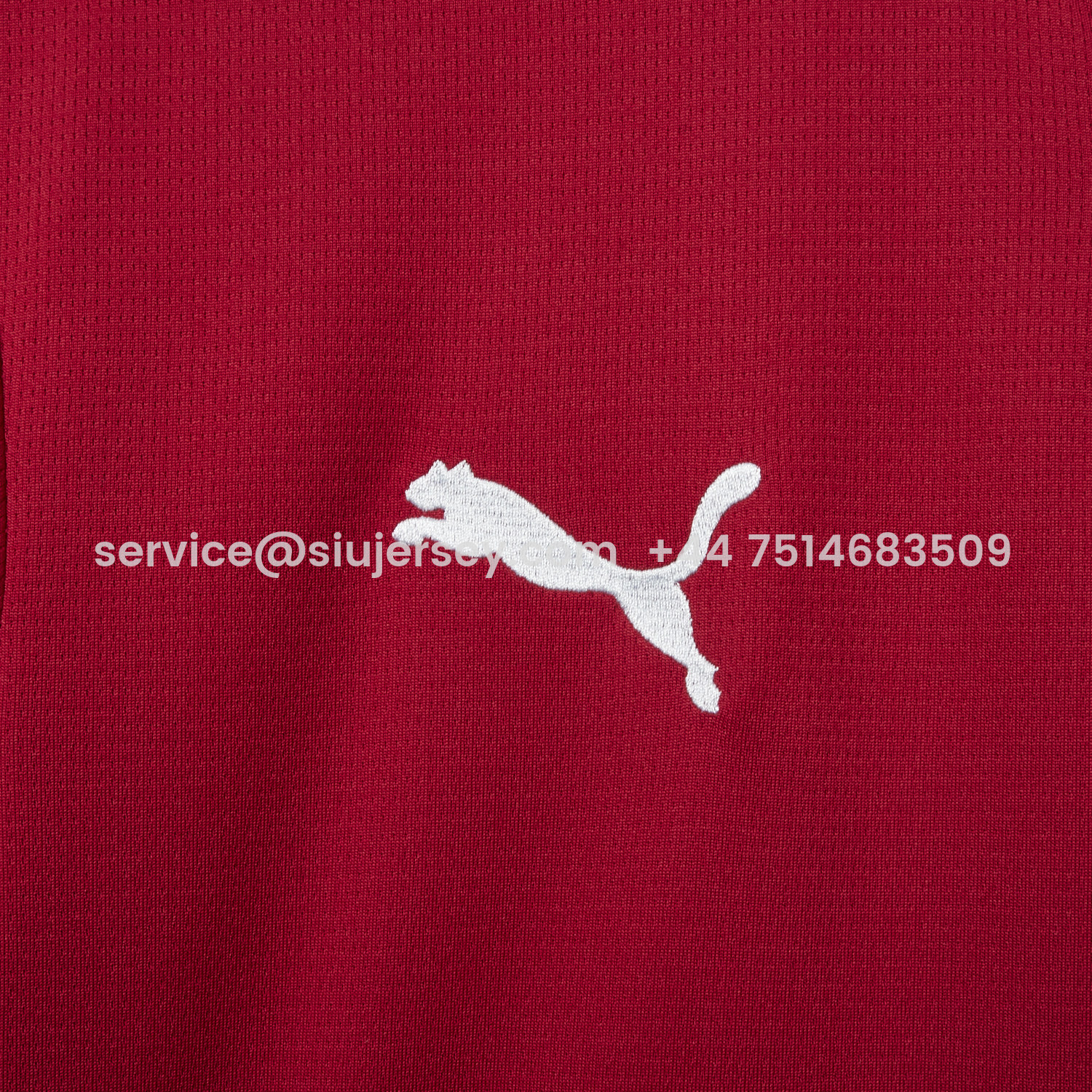 SIUjerseys-Czech Republic 2026 Home Jersey - Fans Version