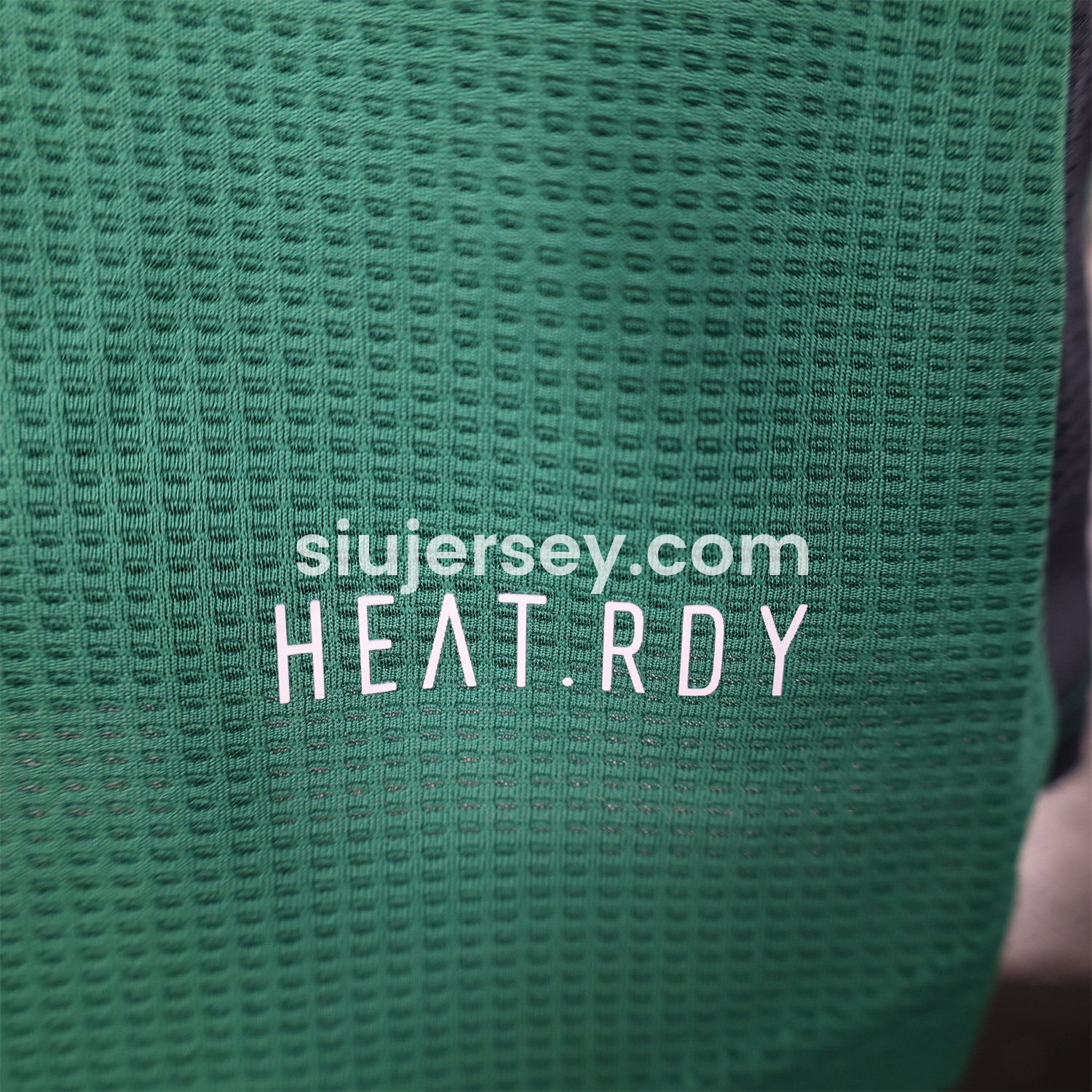 SIUjerseys-Algeria 25-26 Deep Green Special Edition Jersey - Player Version