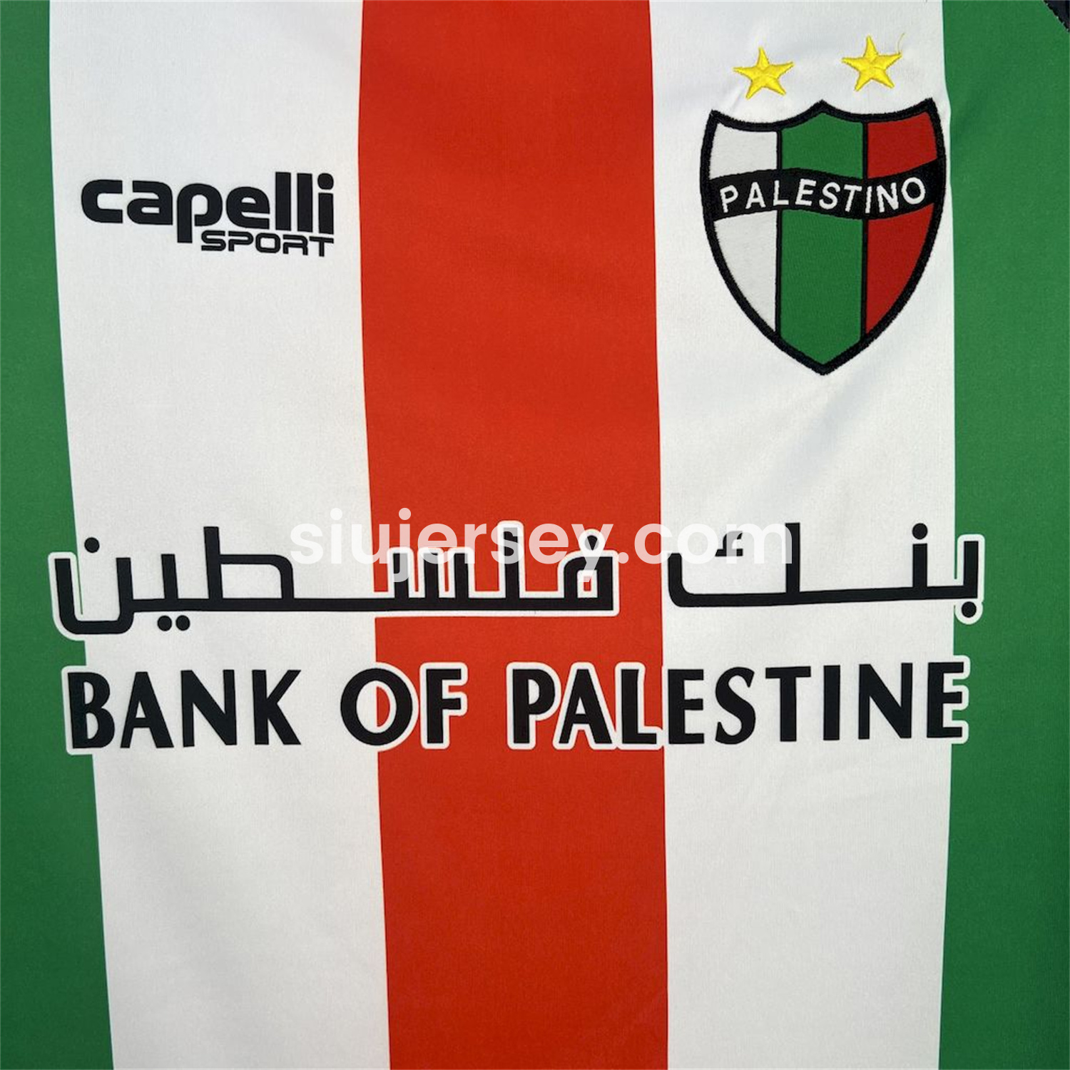SIUjerseys-Club Deportivo Palestino 25-26 Home Jersey - Fans Version