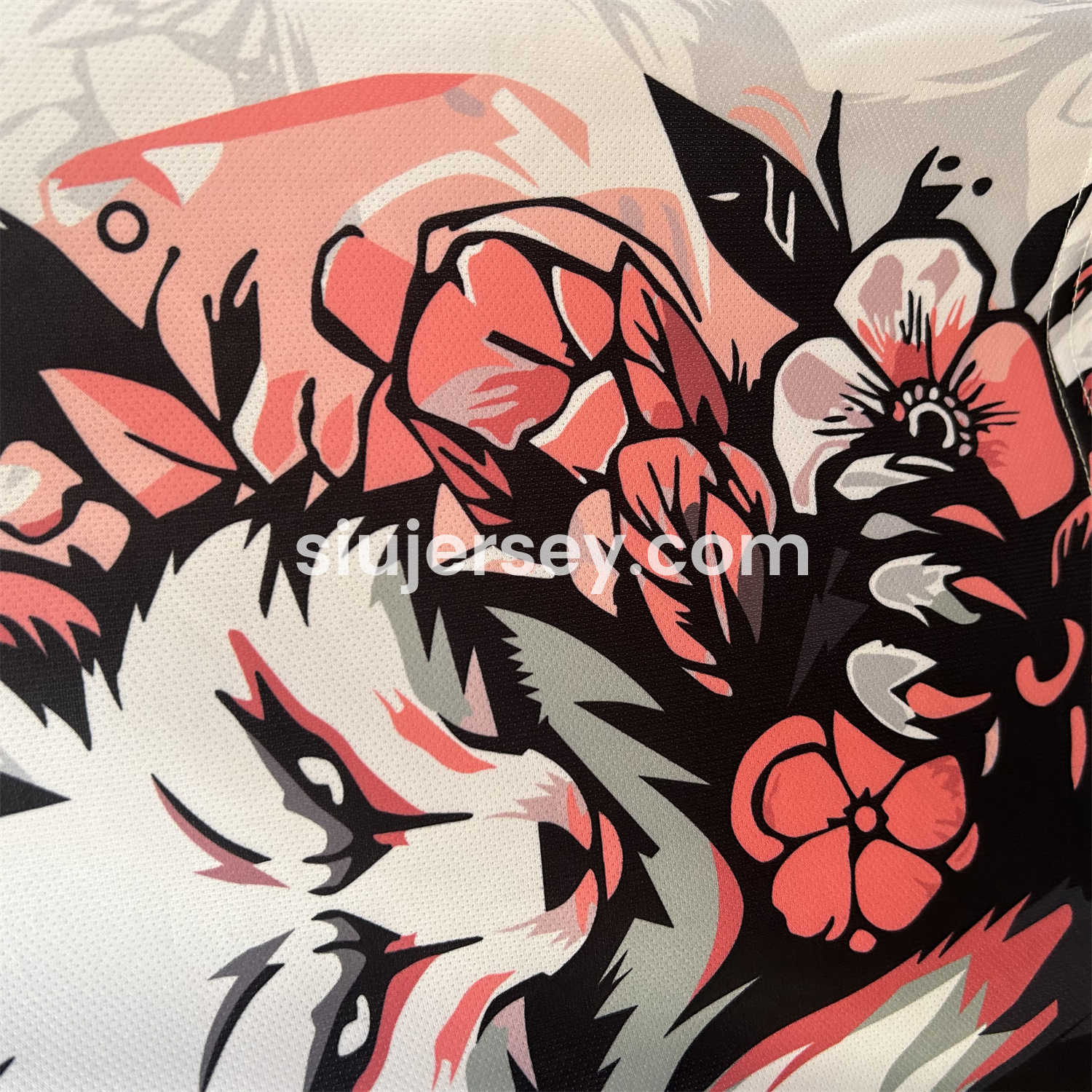 SIUjerseys-Japan 24-25 Snow Fox Special Edition Jersey - Fans Version