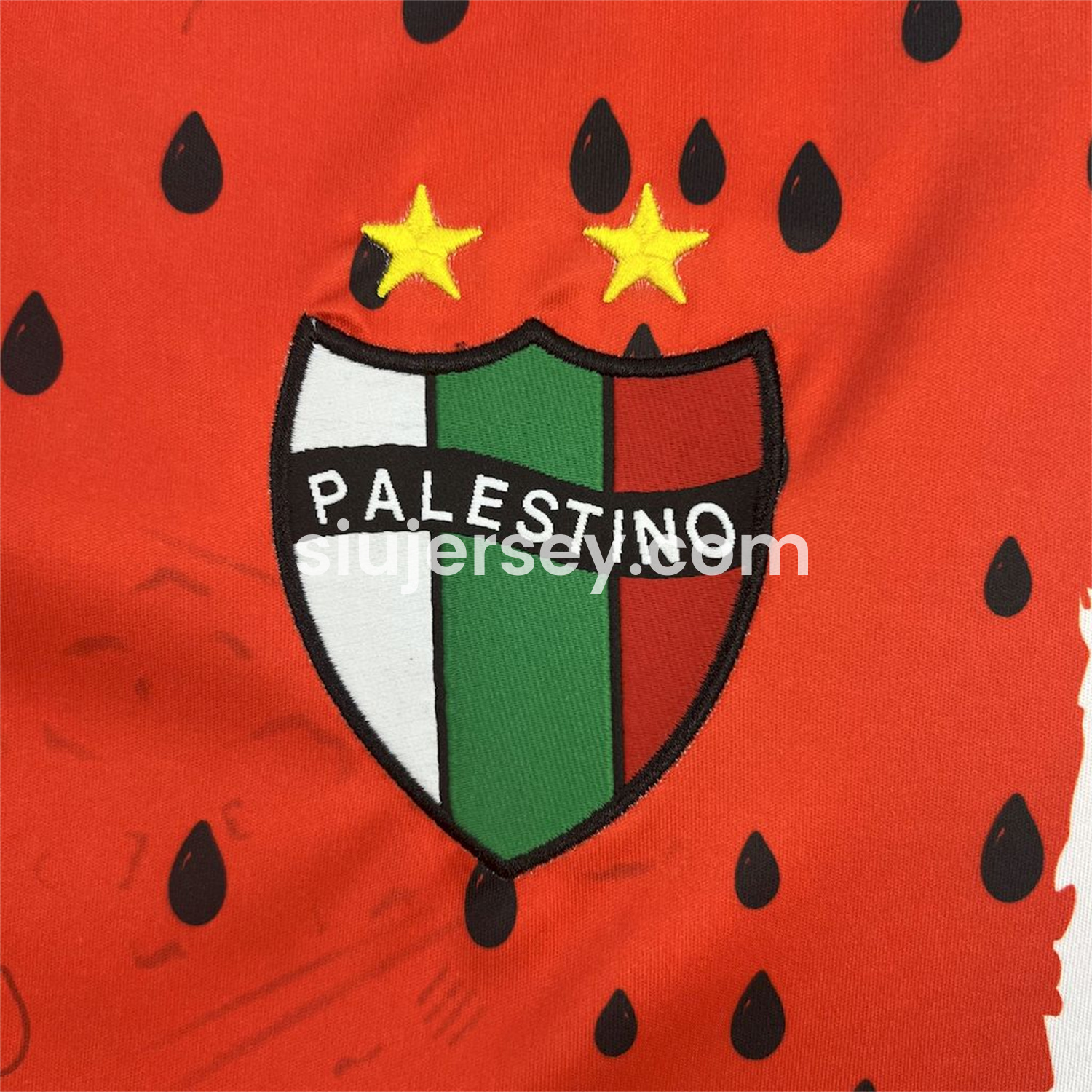 SIUjerseys-Club Deportivo Palestino 25-26 Third Jersey - Fans Version