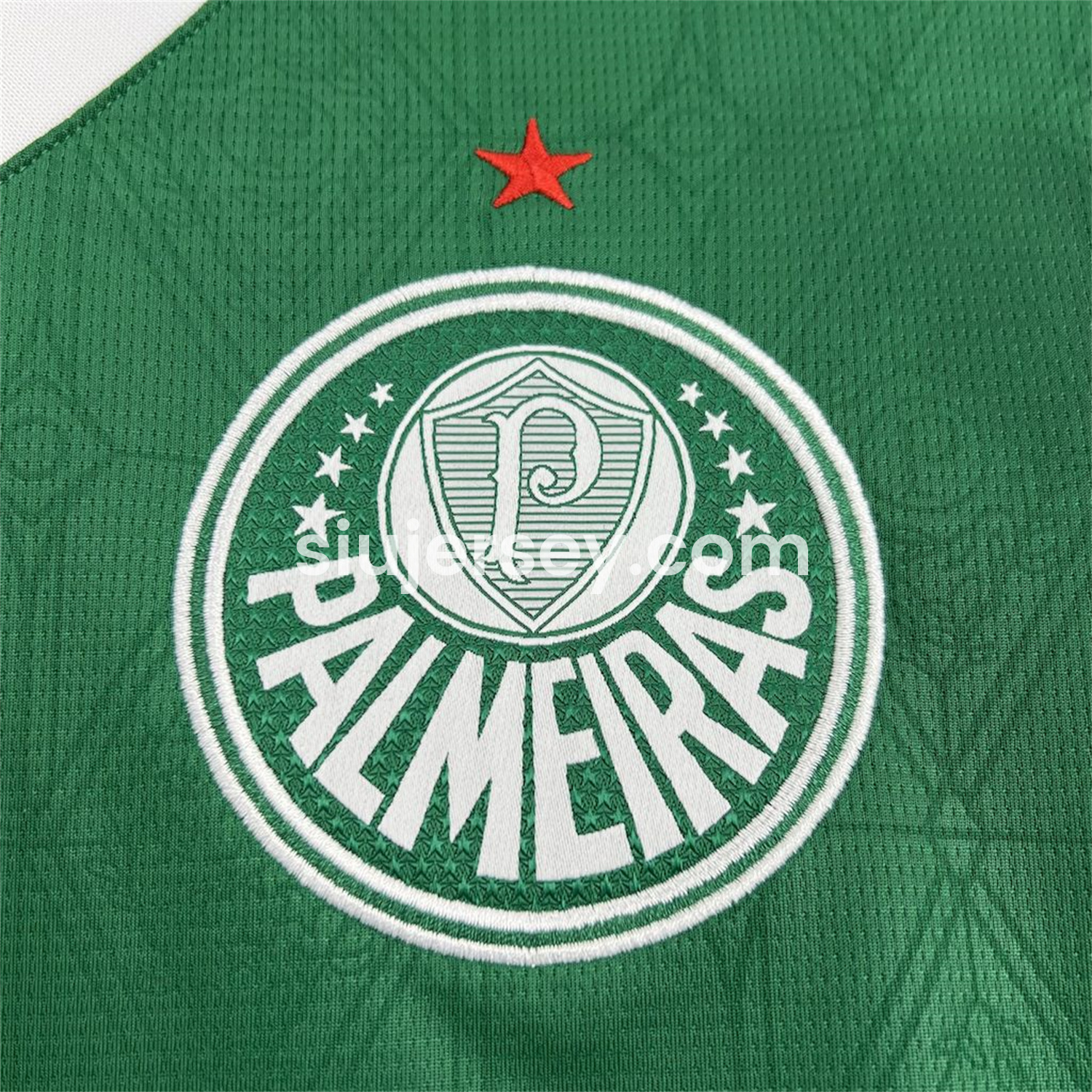 SIUjerseys-Palmeiras 25-26 Home Jersey - Fans Version