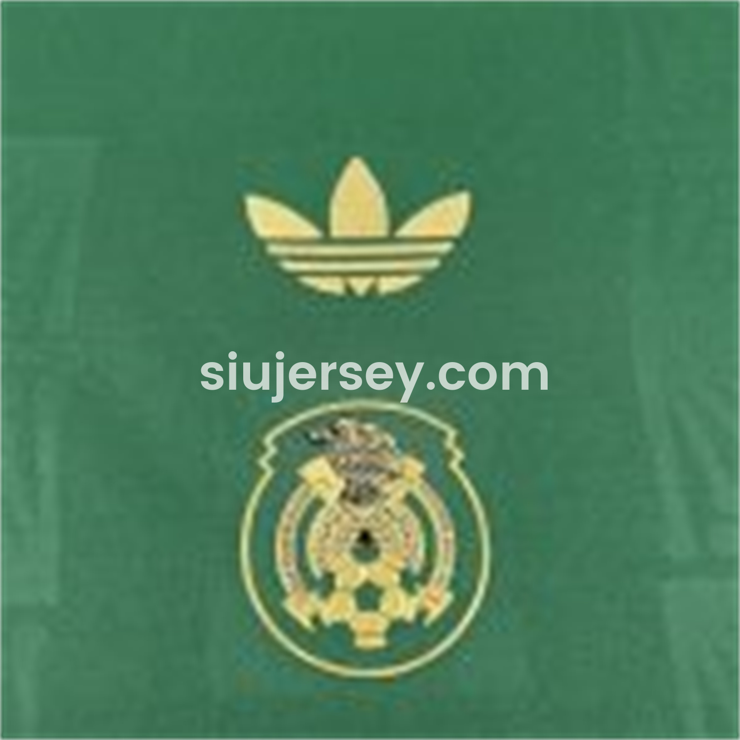 SIUjerseys-Women's Mexico 2025 Gold Cup Green Special Edition Jersey