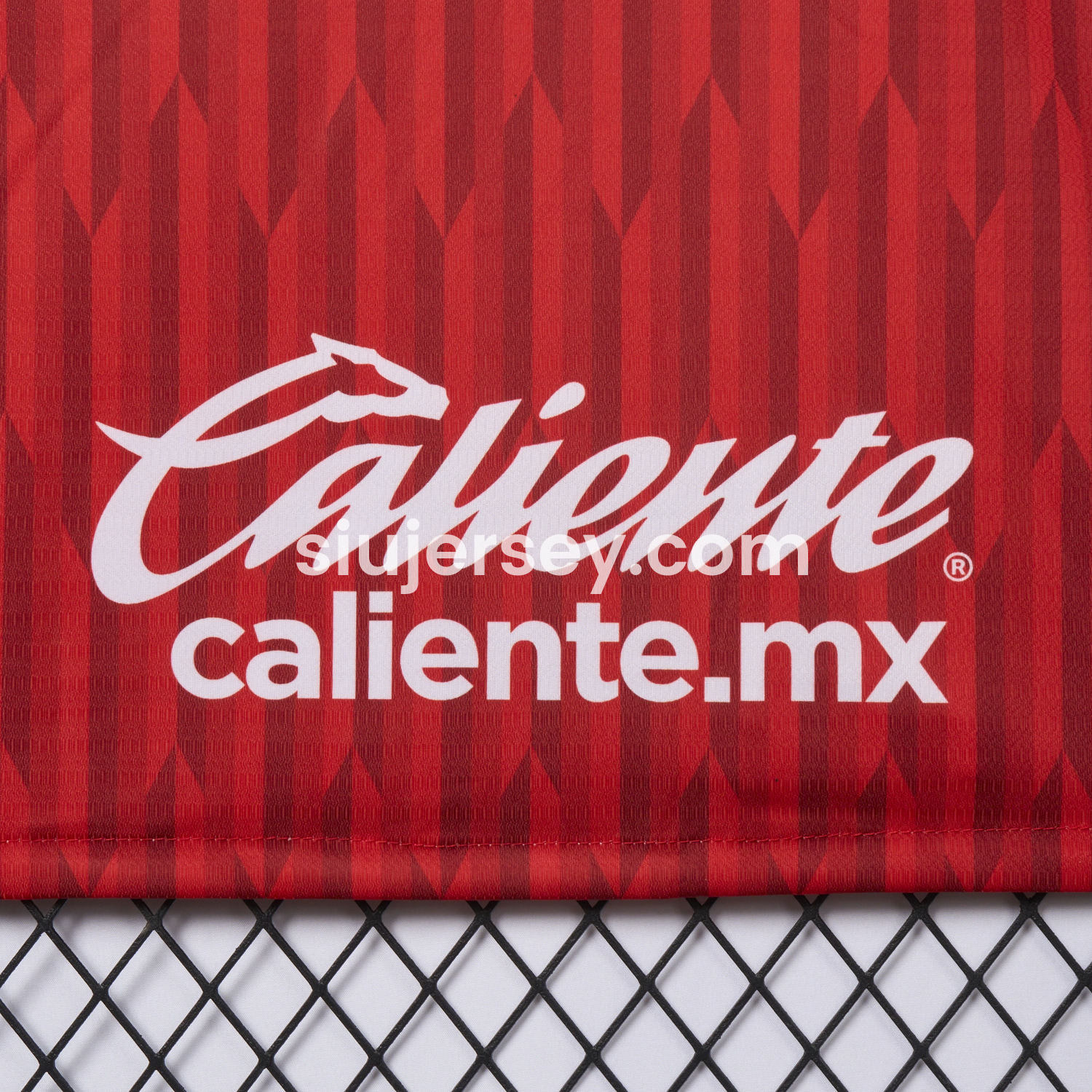 SIUjerseys-Toluca 24-25 Home Jersey - Fans Version