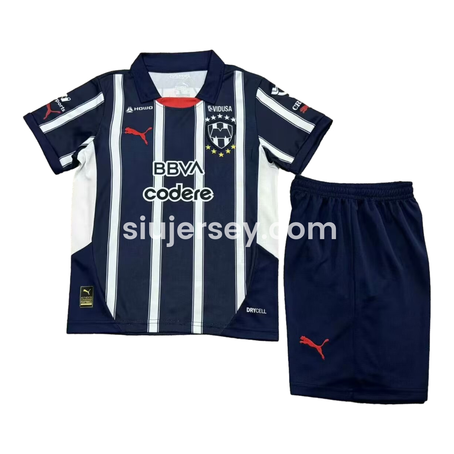 SIUjerseys-Rayados Monterrey 24-25 Home Kids Kit