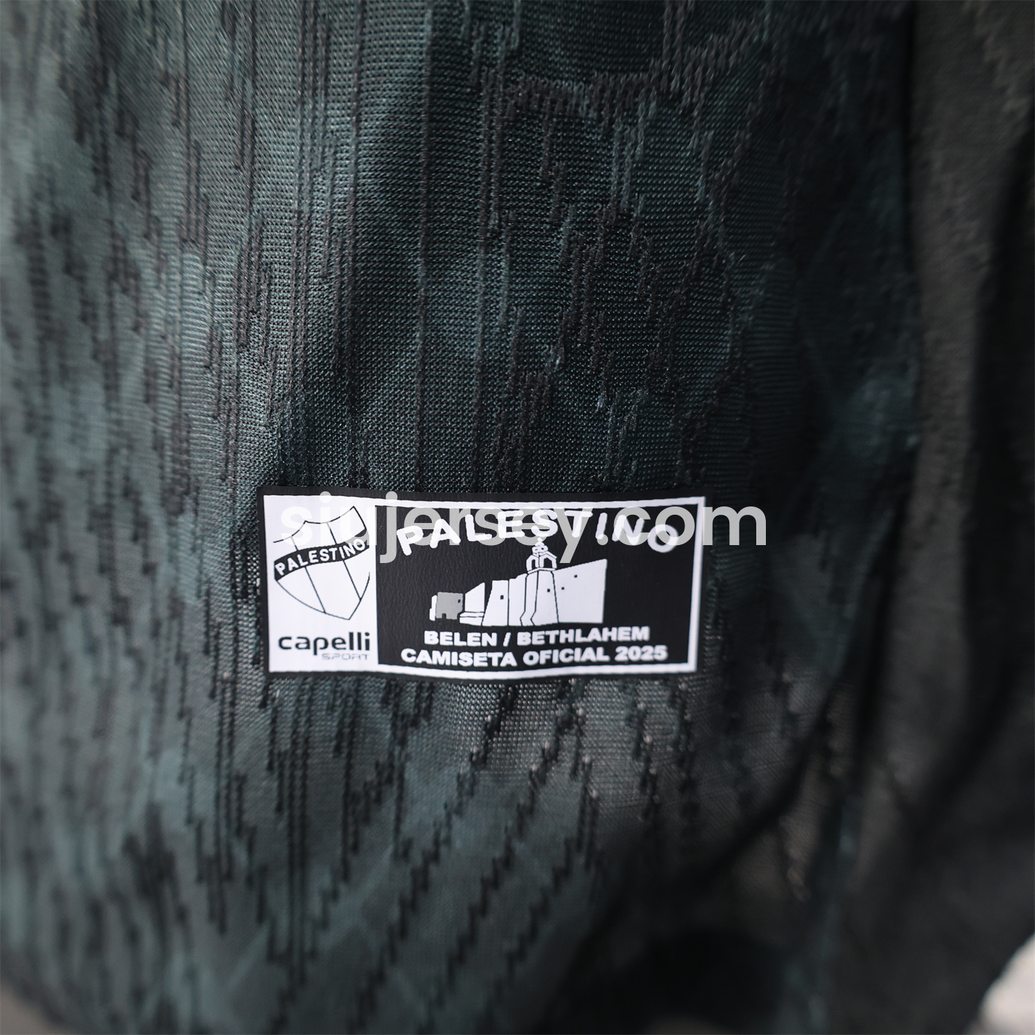 SIUjerseys-Club Deportivo Palestino 25-26 Away Jersey - Player Version