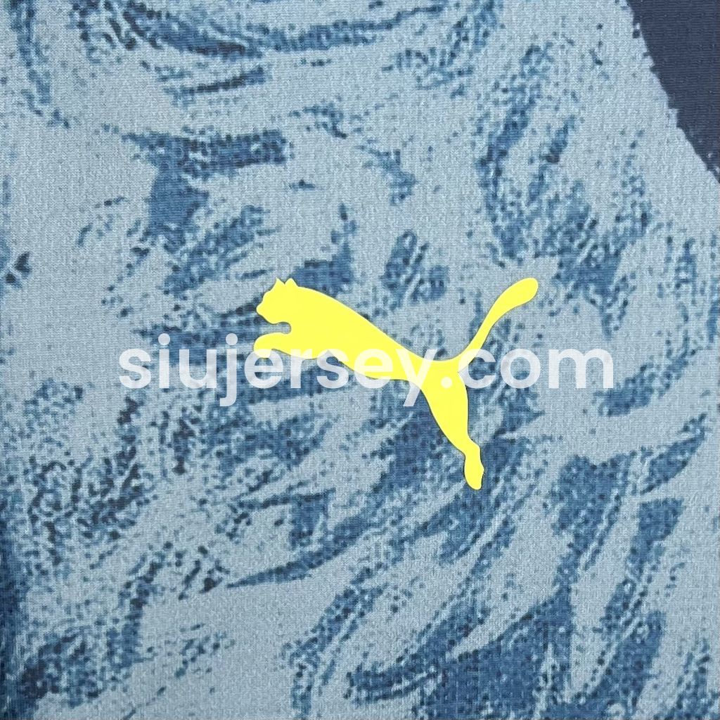 SIUjerseys-Fenerbahce 24-25 Fourth Jersey - Fans Version