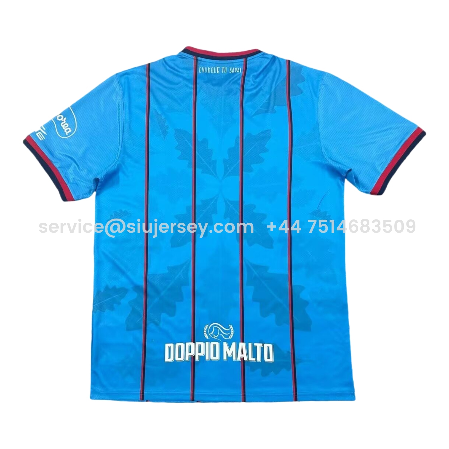 SIUjerseys-Cagliari Calcio 25-26 Third Jersey - Fans Version