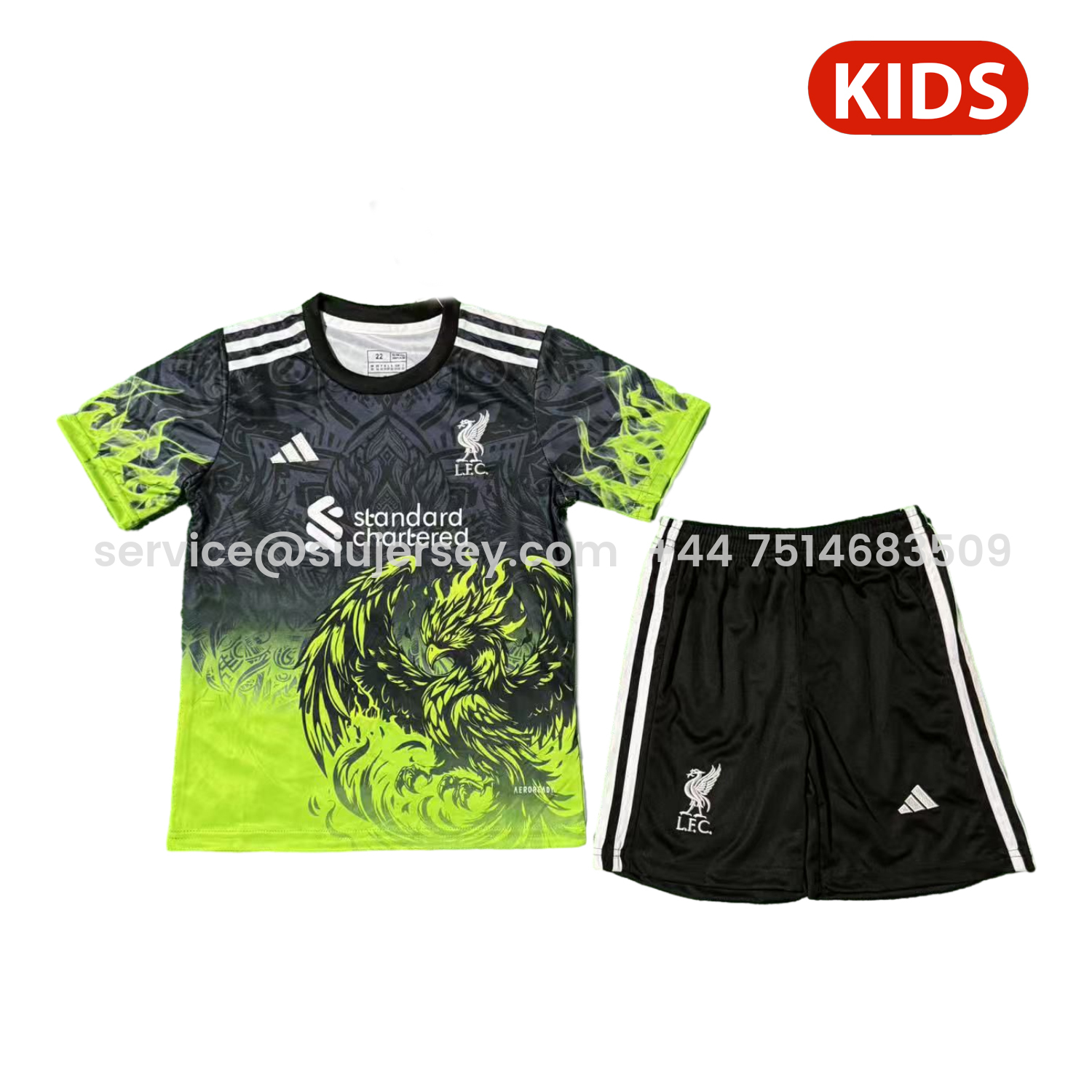 SIUjerseys-Liver.pool 25-26 Green Liver.pool Bird Black Special Kids Kit