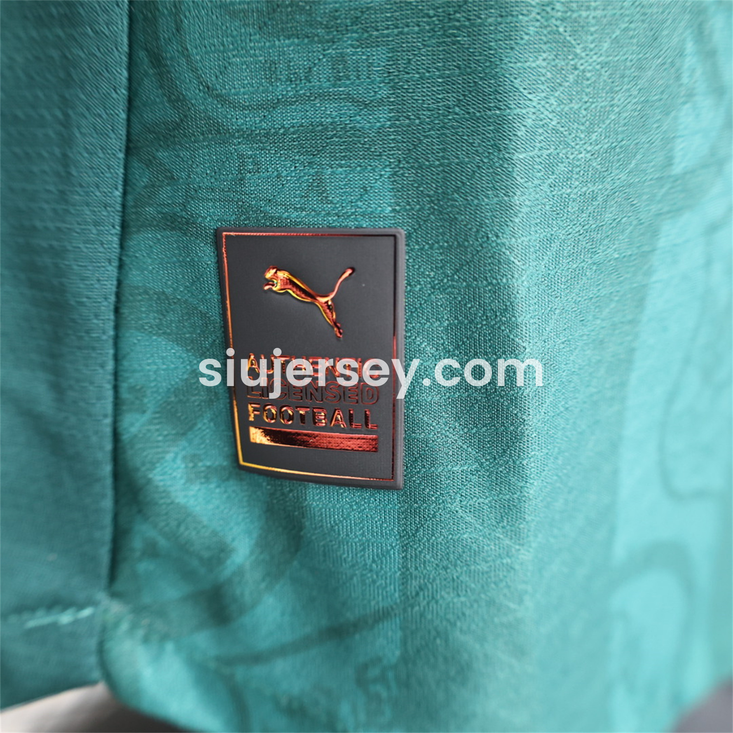 SIUjerseys-Plymouth Argyle 25-26 Home Unsponsored Jersey - Player Version