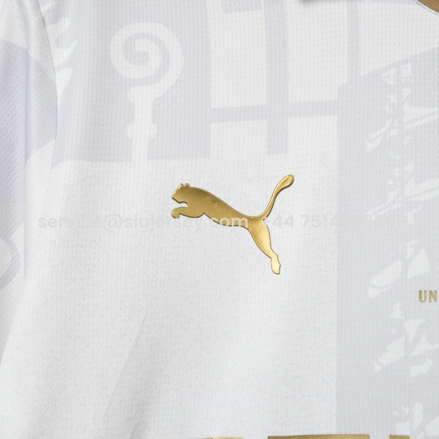 SIUjerseys-Borussia Mönchengladbach 25-26 125-Year Anniversary Jersey - Fans Version