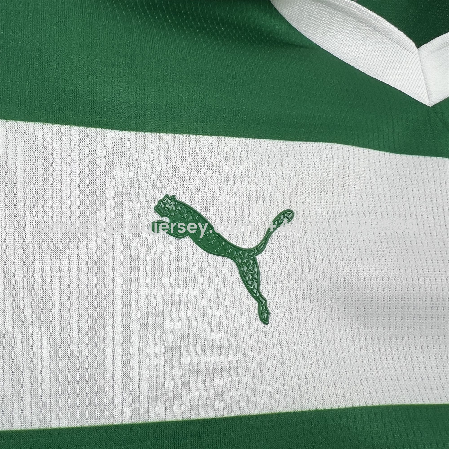 SIUjerseys-Women's Palmeiras 25-26 Avanti Commemorative Jersey