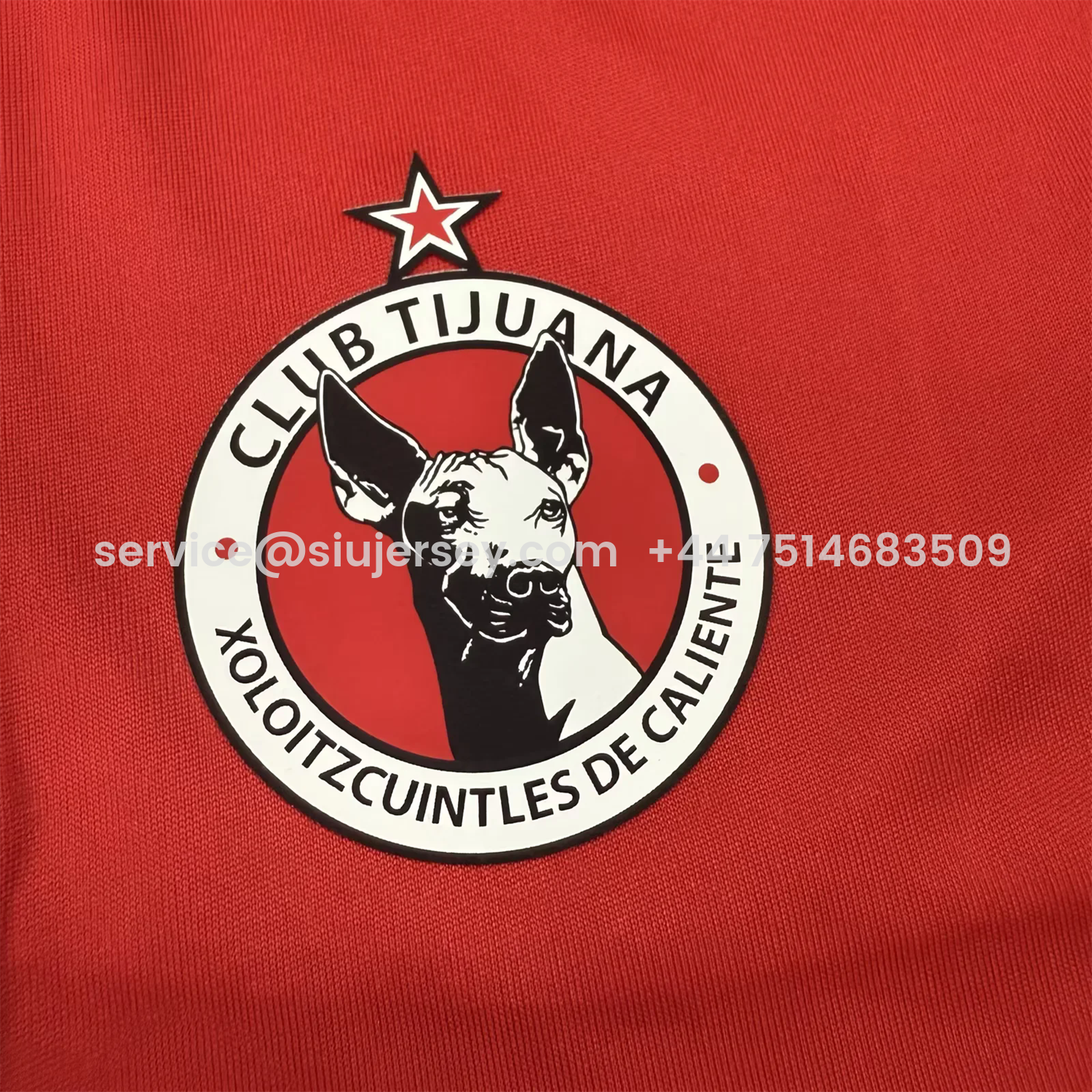SIUjerseys-Tijuana 25-26 Home Kids Kit