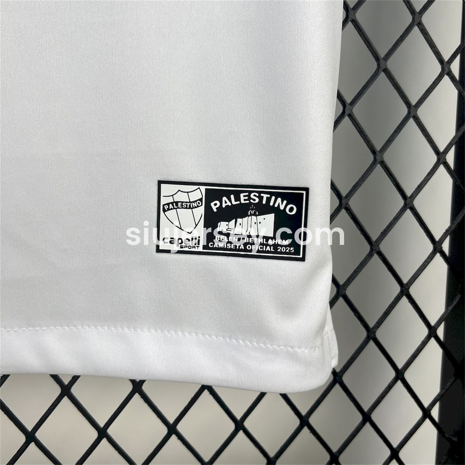 SIUjerseys-Club Deportivo Palestino 25-26 Home Jersey - Fans Version