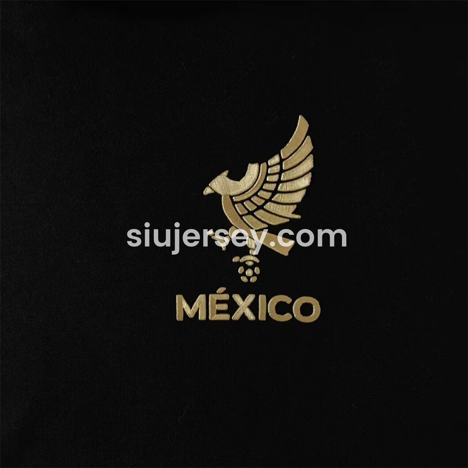 SIUjerseys-Mexico 2025 Gold Cup Black Special Edition Unisex Pullover Hoodie