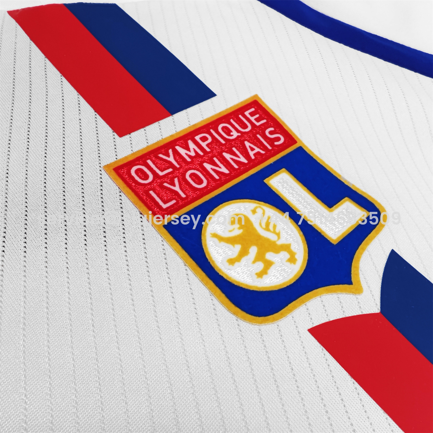 SIUjerseys-Retro Lyon 2008-09 Home Jersey