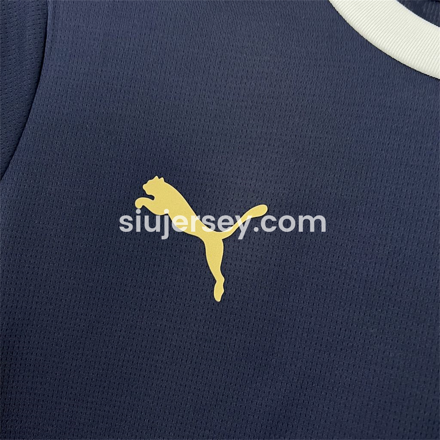 SIUjerseys-Portugal 2025-26 Royal Blue Training Jersey - Fans Version