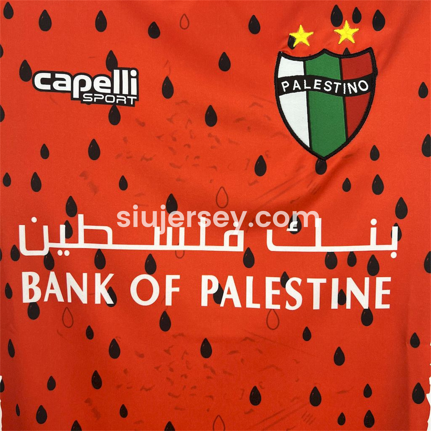 SIUjerseys-Club Deportivo Palestino 25-26 Third Jersey - Fans Version