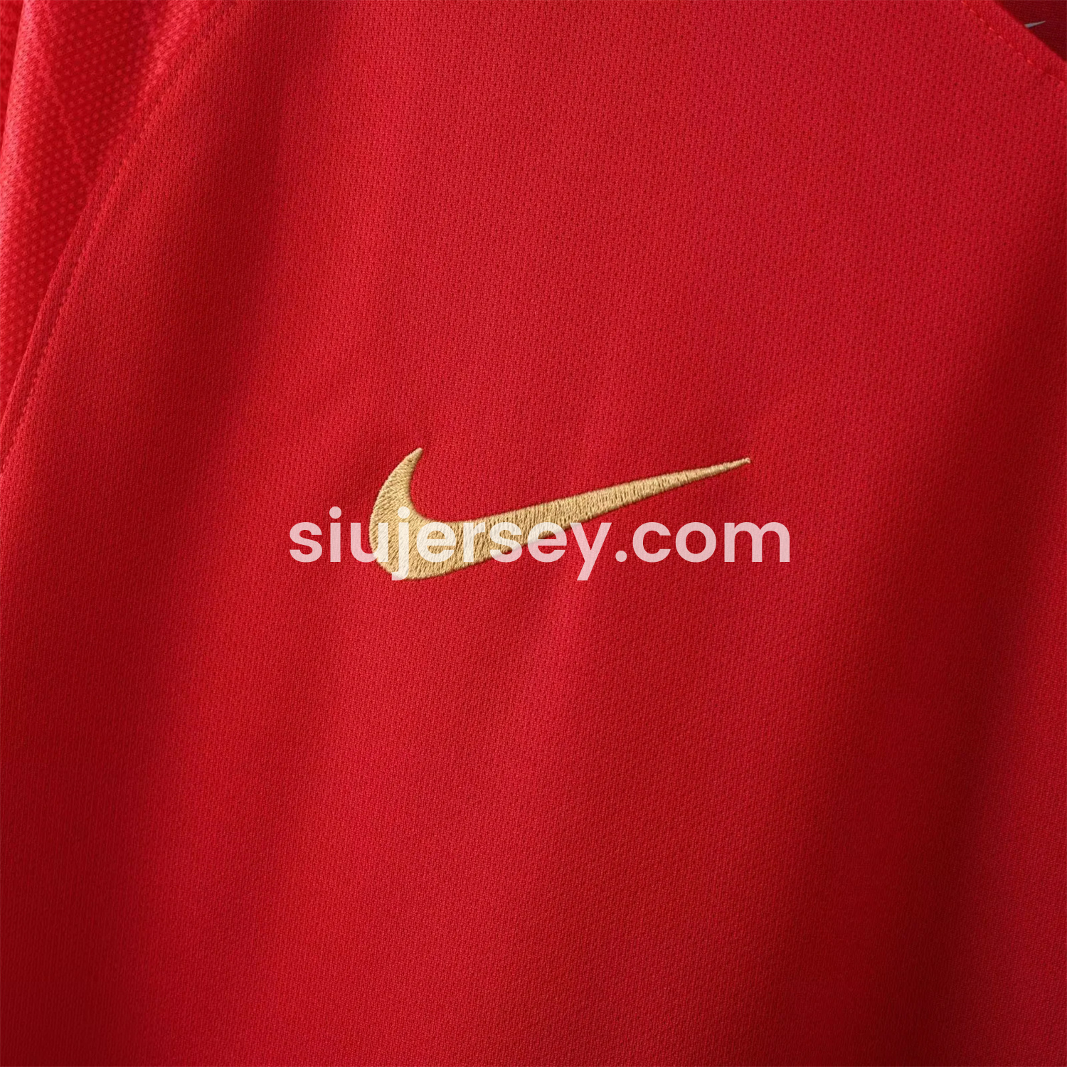 SIUjerseys-Retro Portugal 2018 Home Long Sleeves Jersey