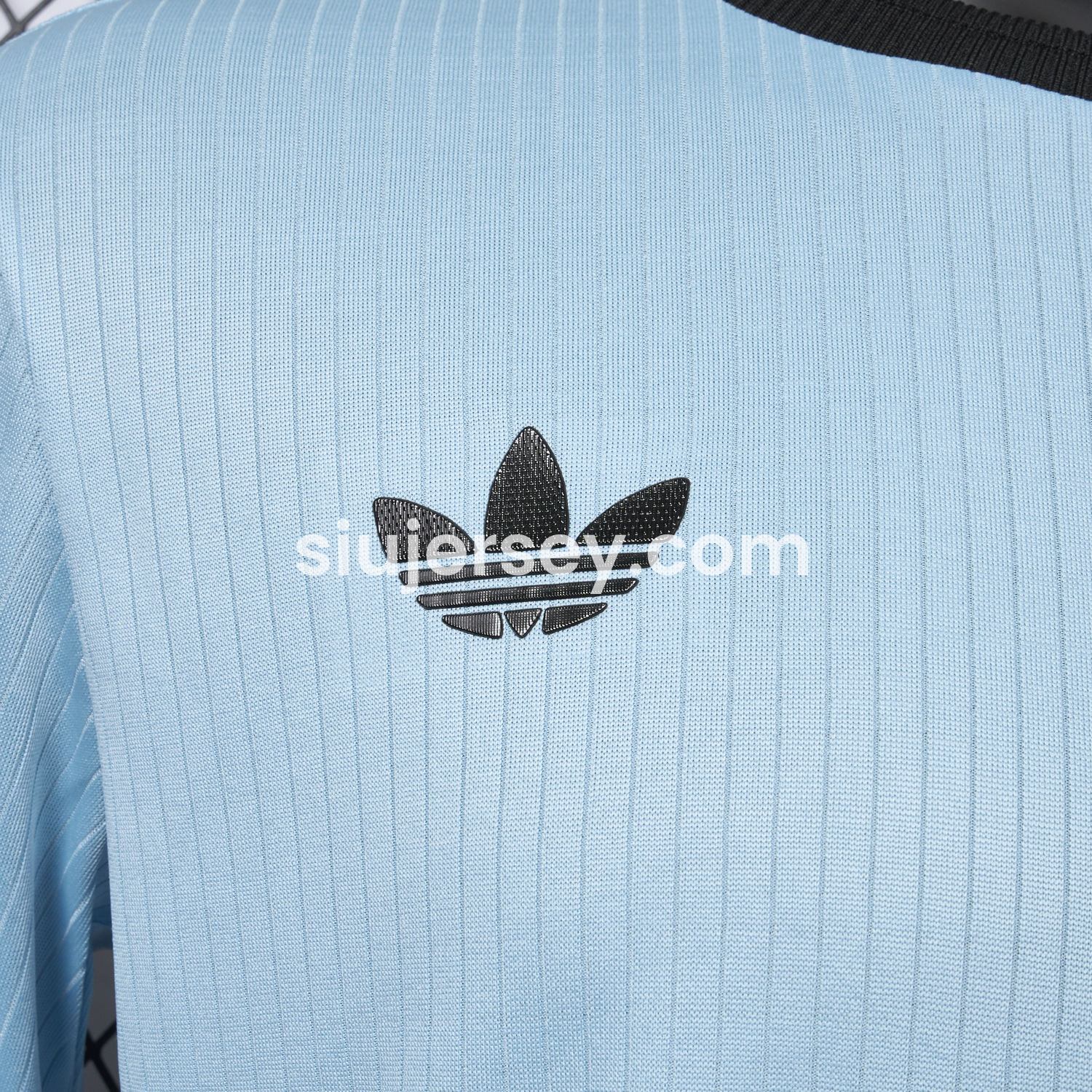 SIUjerseys-Germany 2025 125-Year Anniversary GK Blue Long Sleeve Jersey - Player Version