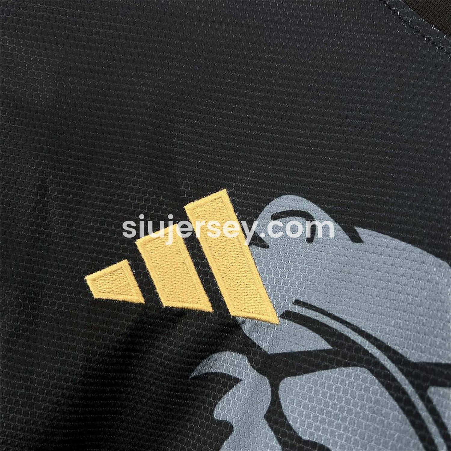 SIUjerseys-Aston Villa 25-26 Black Special Edition Jersey - Fans Version