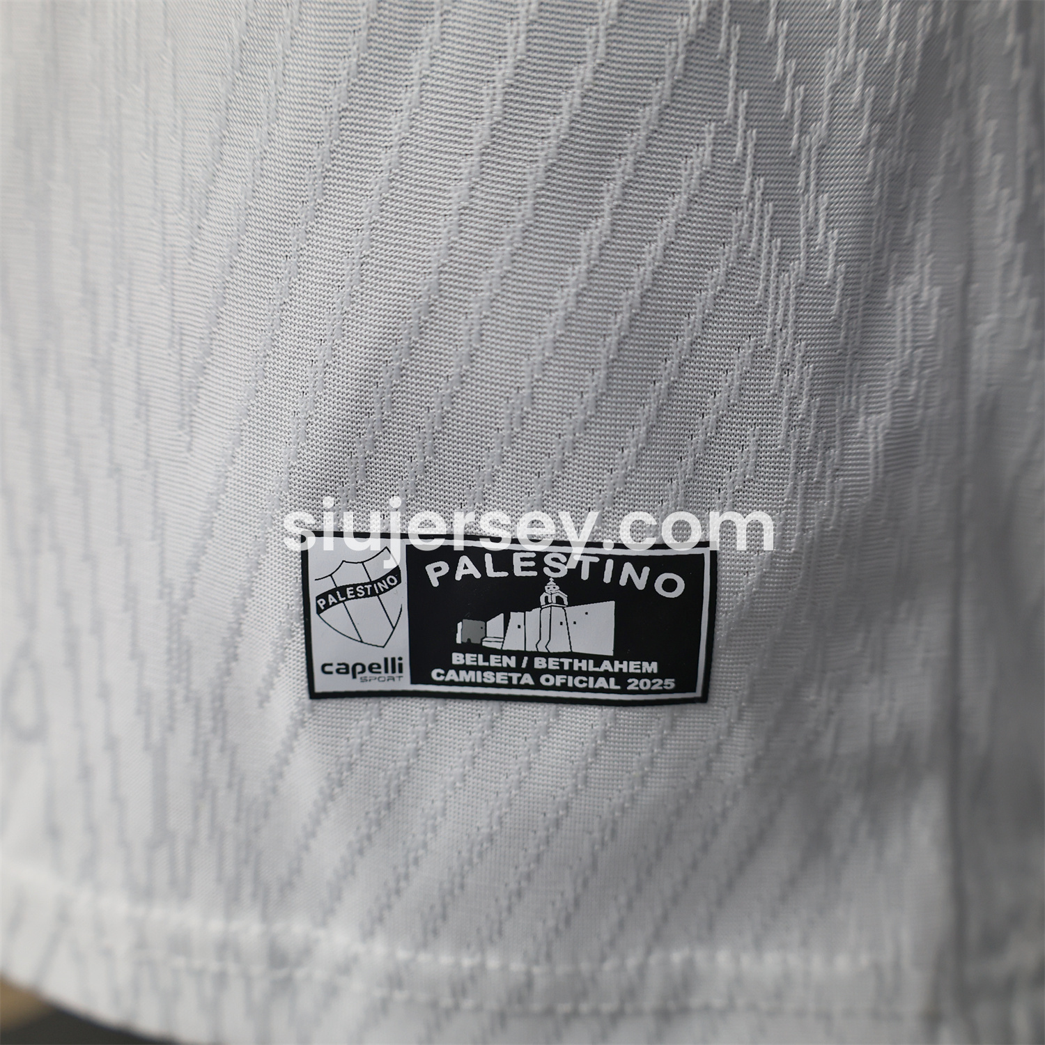 SIUjerseys-Club Deportivo Palestino 25-26 Home Jersey - Player Version