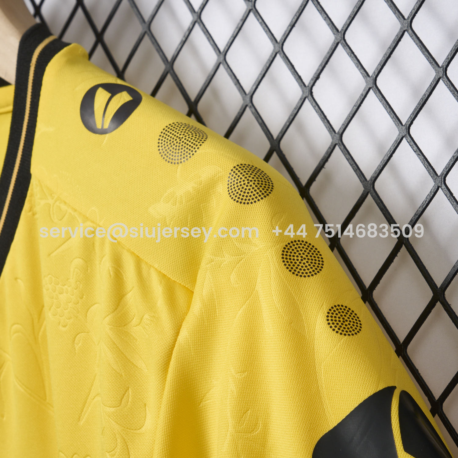 SIUjerseys-Dynamo Dresden 25-26 Home Jersey - Fans Version