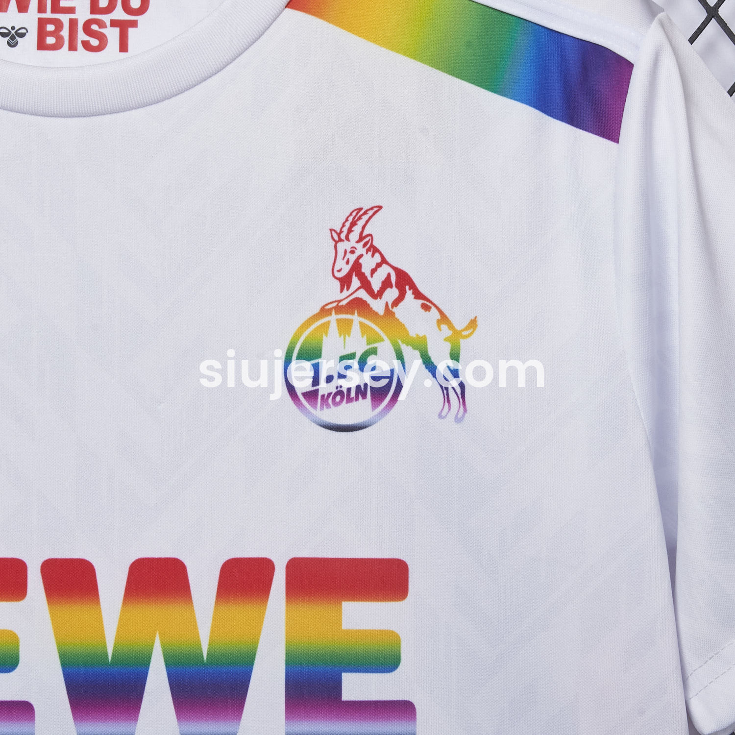 SIUjerseys-1. FC Köln 2024-25 Pride Diversity Special Edition Jersey - Fans Version