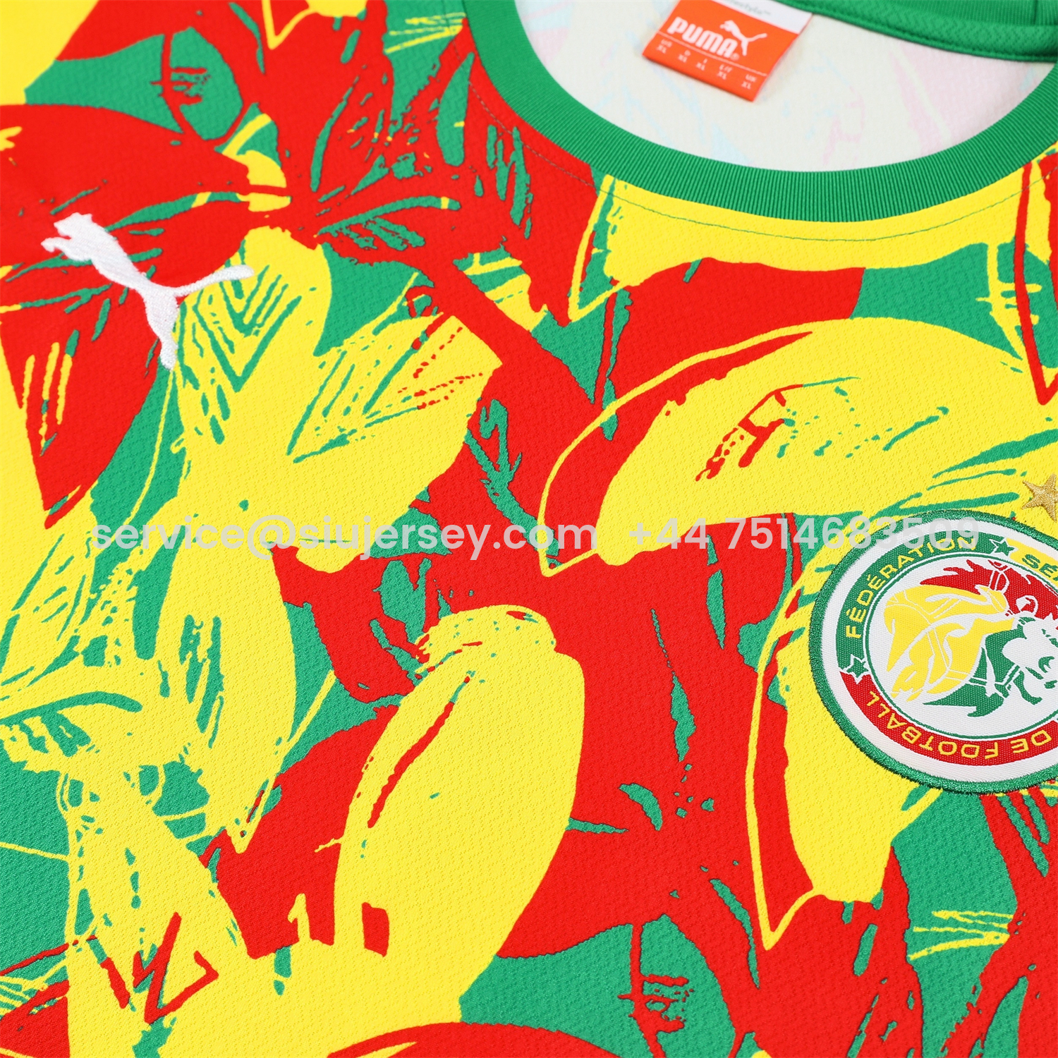 SIUjerseys-Senegal 2026 Short-Sleeve Training Set - Variegated Top and Green Shorts