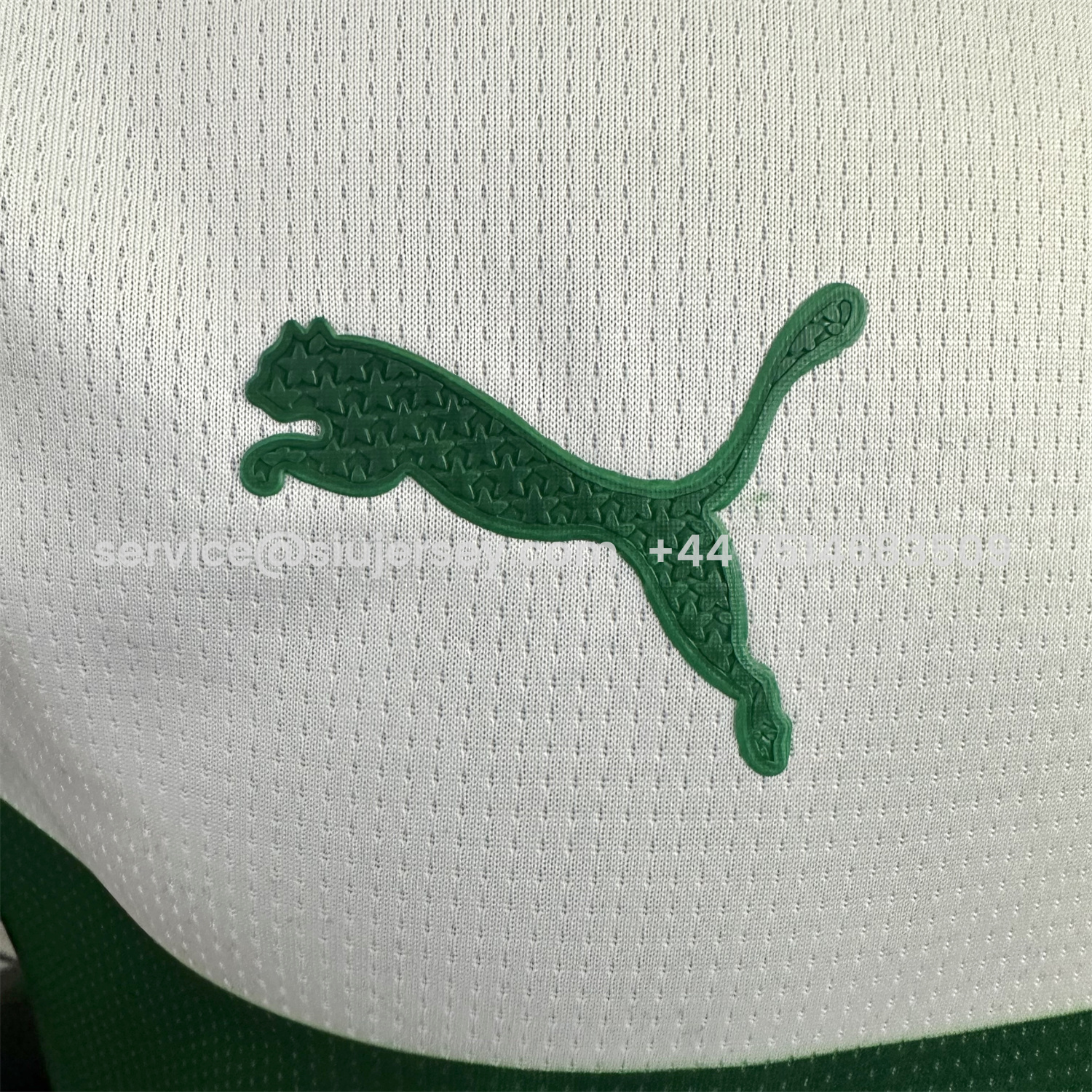 SIUjerseys-Palmeiras 25-26 Avanti Commemorative Jersey - Player Version