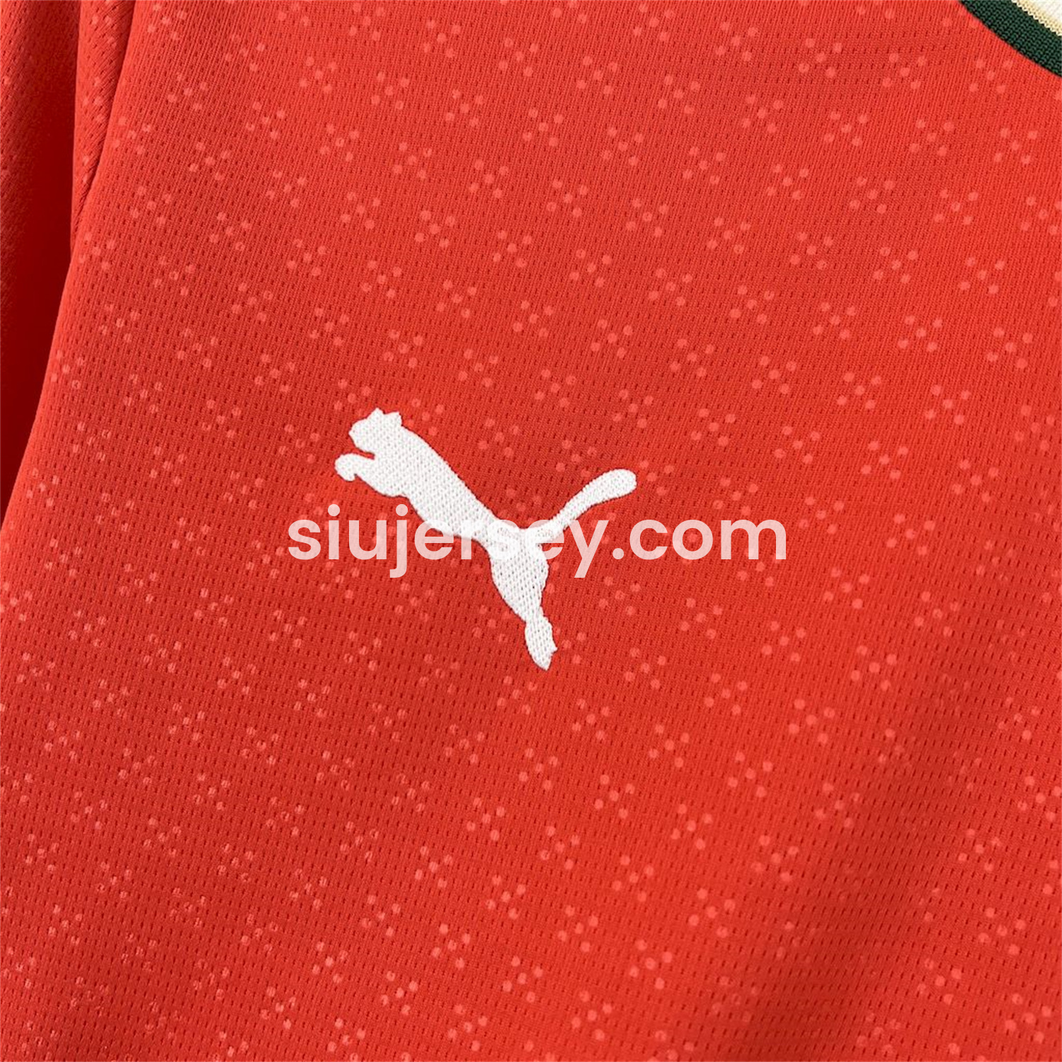SIUjerseys-Portugal 2025-26 Home Long Sleeve Jersey - Fans Version