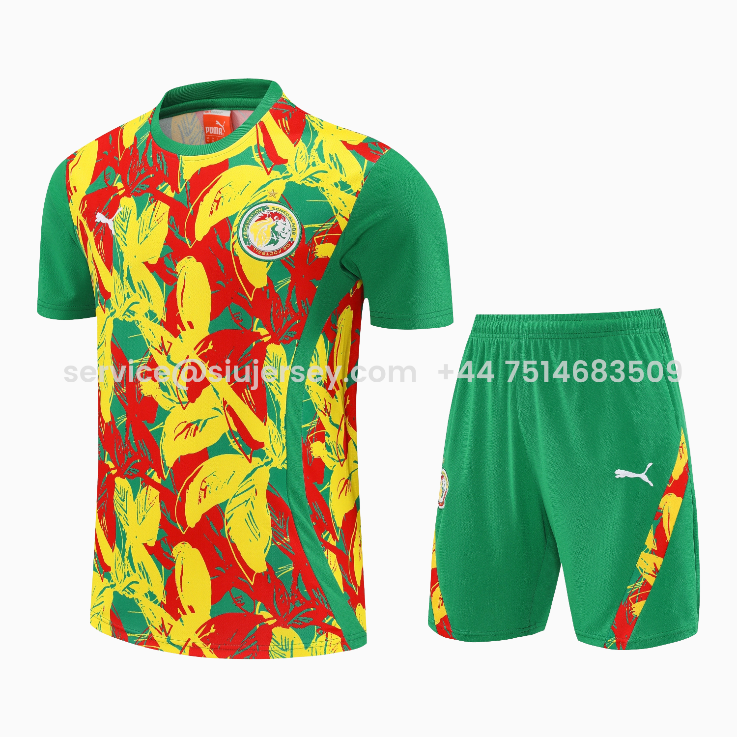 SIUjerseys-Senegal 2026 Short-Sleeve Training Set - Variegated Top and Green Shorts