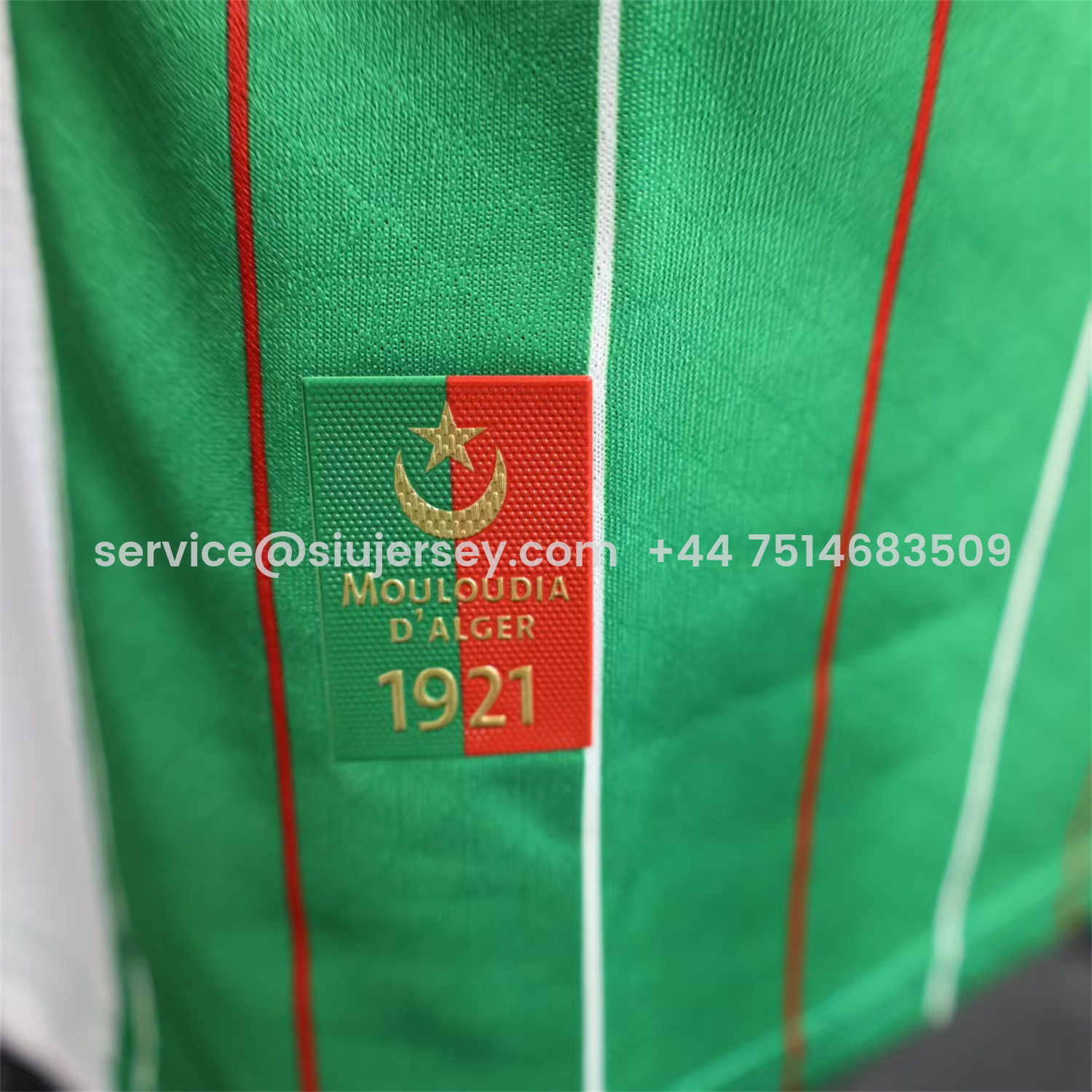 SIUjerseys-Club Deportivo Palestino Palestine 25-26 Green Special Jersey - Player Version