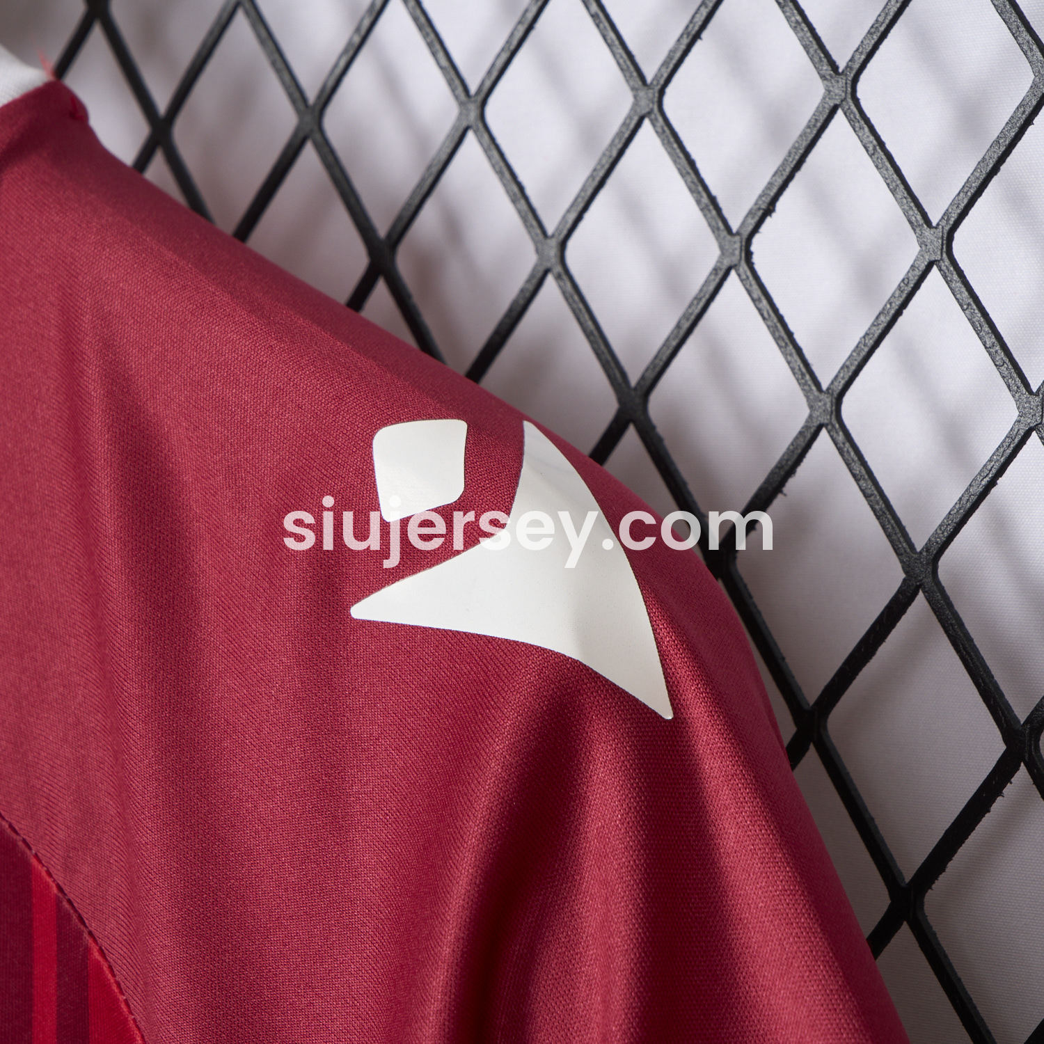 SIUjerseys-Hannover 96 24-25 Anti-Racism Special Edition Jersey - Fans Version