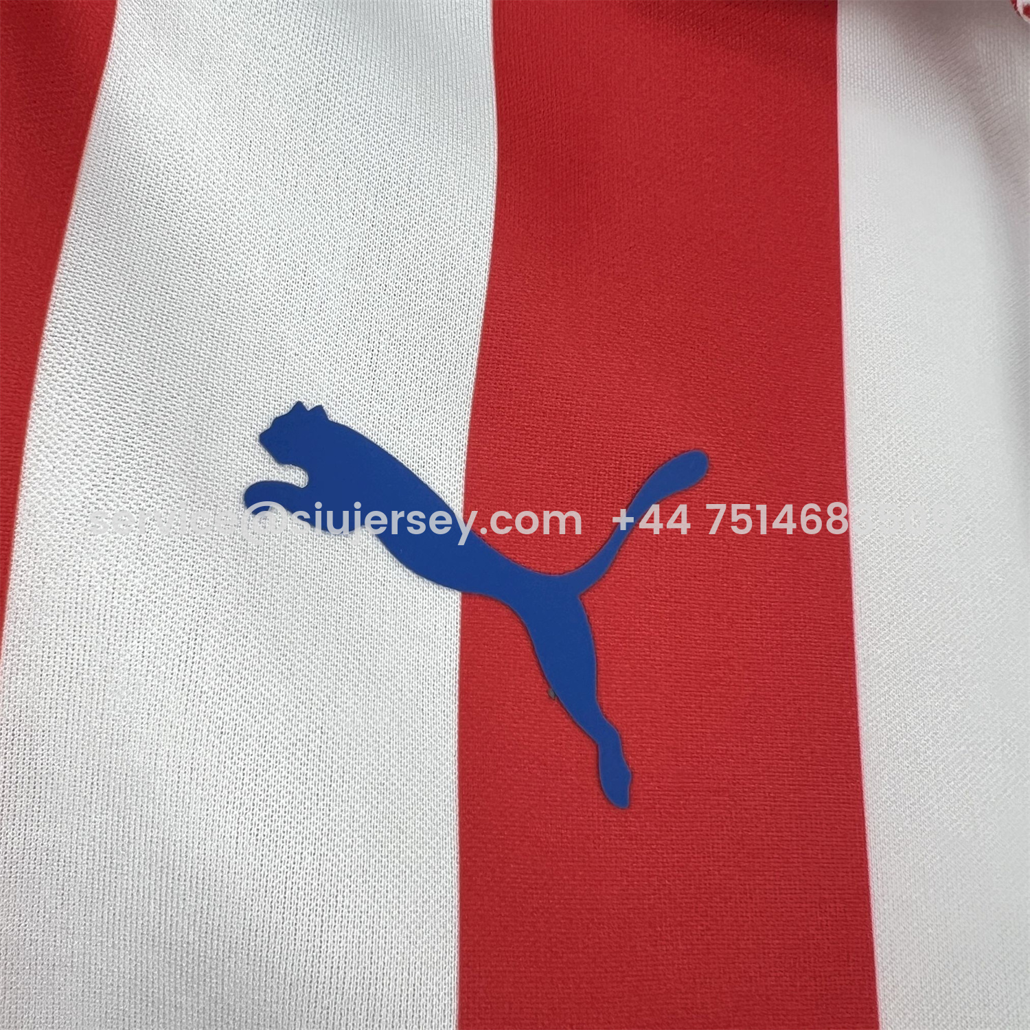 SIUjerseys-Retro Chivas de Guadalajara 2016-17 110-Years Anniversary Long Sleeves Jersey