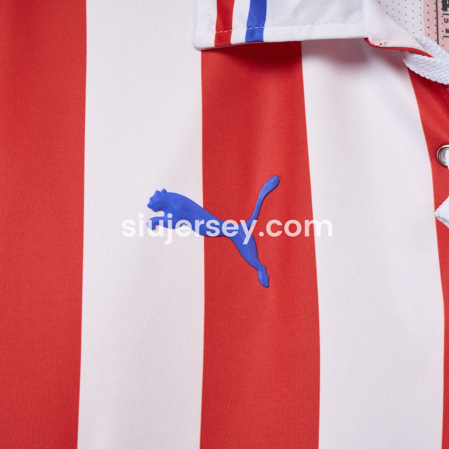 SIUjerseys-Retro Chivas de Guadalajara 2016-17 110-Years Anniversary Jersey