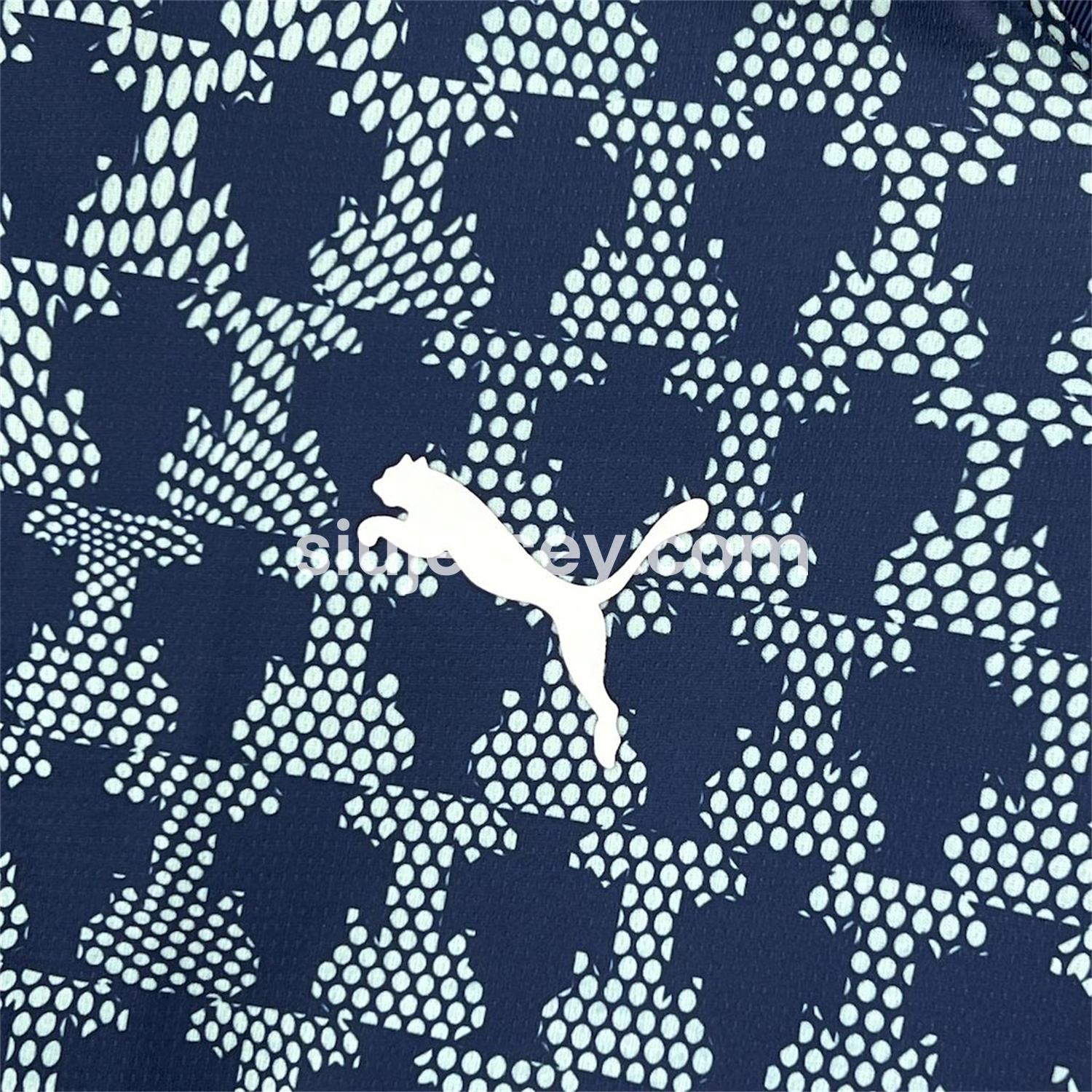 SIUjerseys-Portugal 2025-26 ftblNRGY Retro Jersey - Fans Version