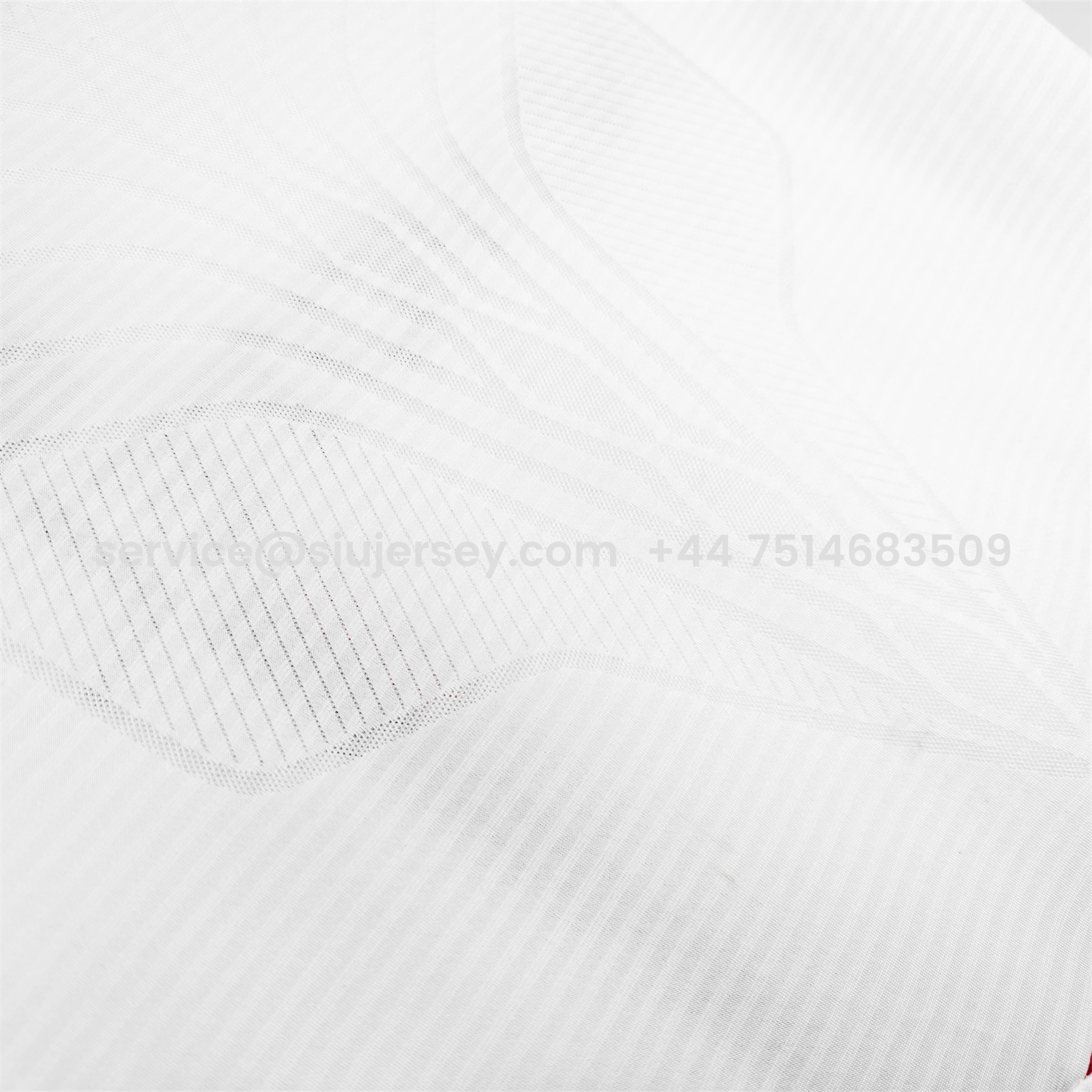 SIUjerseys-Retro Lyon 2008-09 Home Jersey