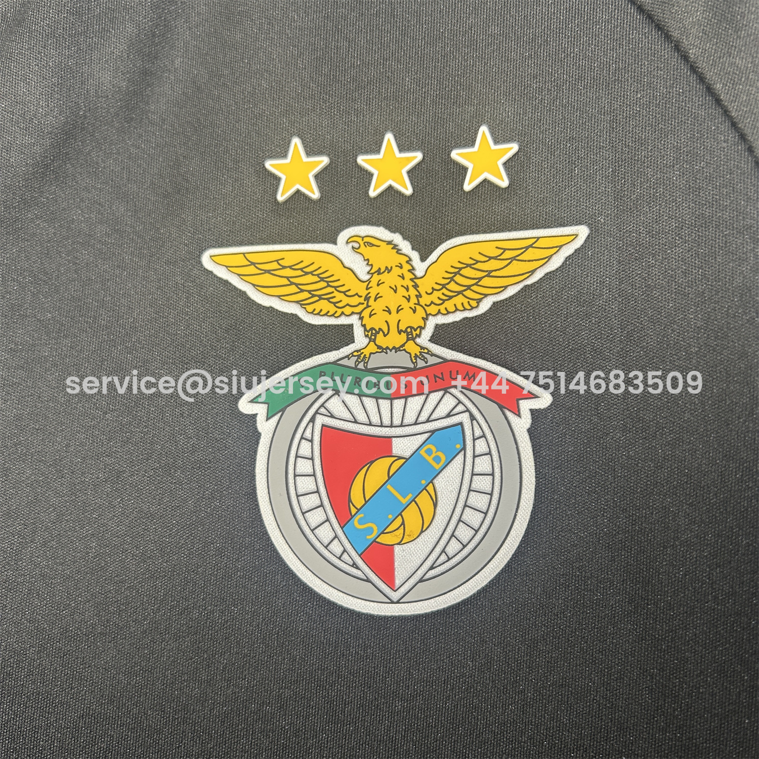 SIUjerseys-Benfica 25-26 Black Training Jersey - Fans Version